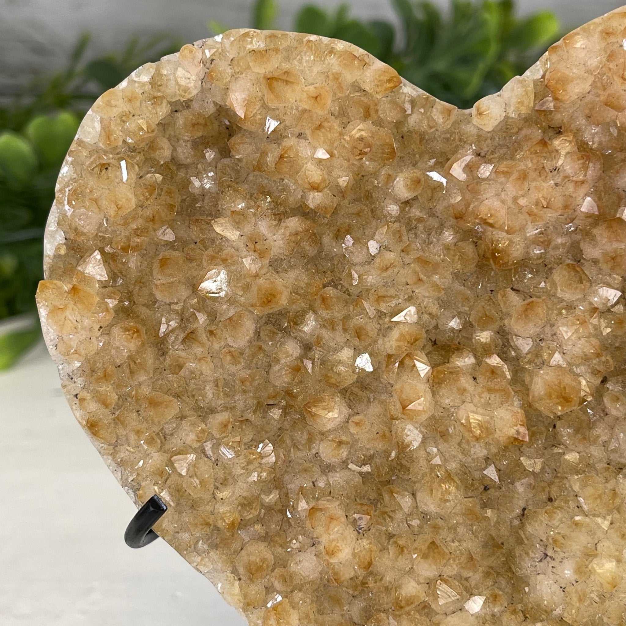 Standard Plus Quality Citrine Heart Geode, metal stand, 1.2 lbs & 5.5" Tall Model #5465-0022 by Brazil Gems - Brazil GemsBrazil GemsStandard Plus Quality Citrine Heart Geode, metal stand, 1.2 lbs & 5.5" Tall Model #5465-0022 by Brazil GemsHearts5465-0022