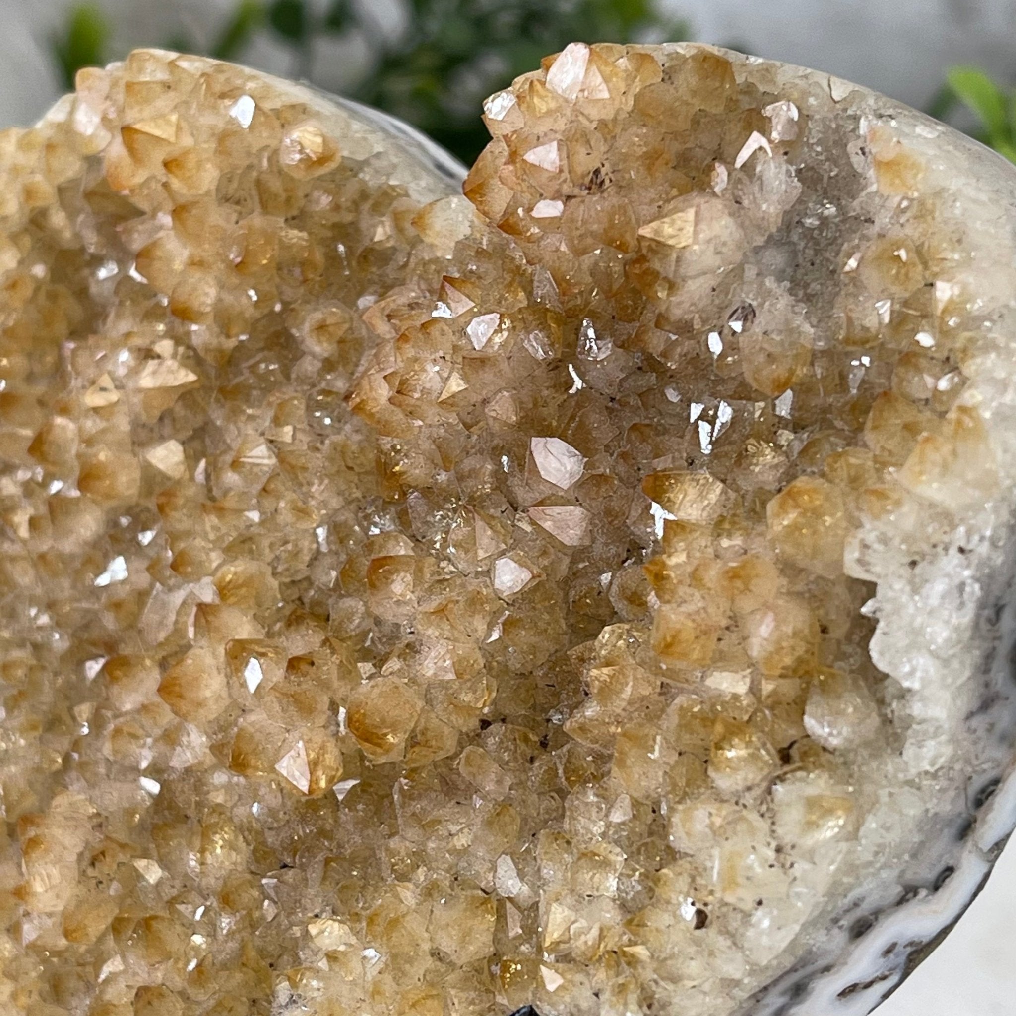 Standard Plus Quality Citrine Heart Geode, metal stand, 1.2 lbs & 5.5" Tall Model #5465-0022 by Brazil Gems - Brazil GemsBrazil GemsStandard Plus Quality Citrine Heart Geode, metal stand, 1.2 lbs & 5.5" Tall Model #5465-0022 by Brazil GemsHearts5465-0022