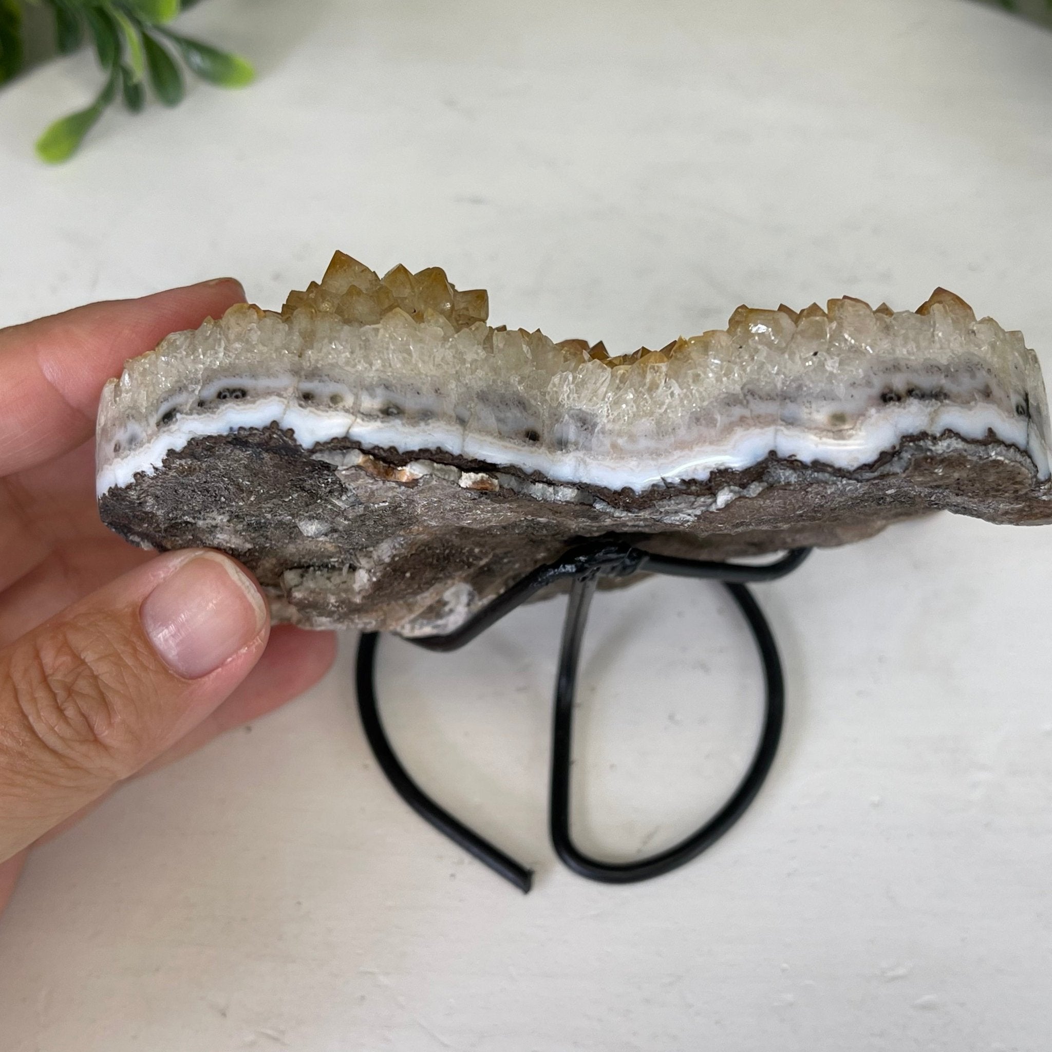 Standard Plus Quality Citrine Heart Geode, metal stand, 1.3 lbs & 5" Tall Model #5465-0023 by Brazil Gems - Brazil GemsBrazil GemsStandard Plus Quality Citrine Heart Geode, metal stand, 1.3 lbs & 5" Tall Model #5465-0023 by Brazil GemsHearts5465-0023
