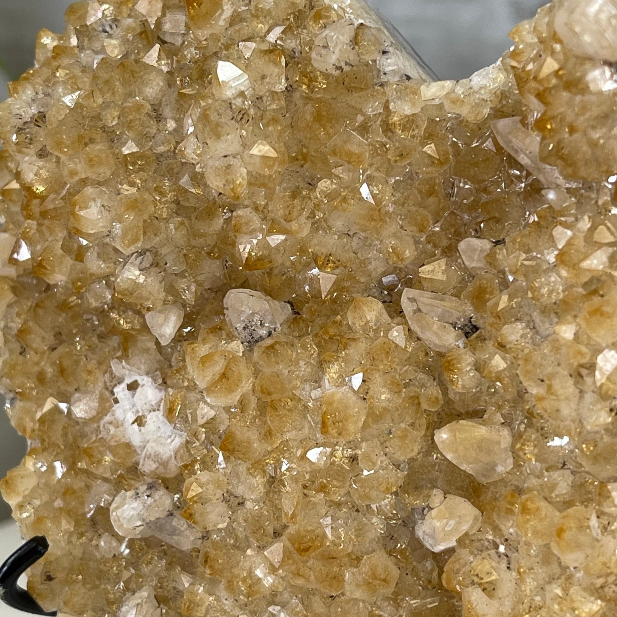 Standard Plus Quality Citrine Heart Geode, metal stand, 2.1 lbs & 6" Tall Model #5465-0034 by Brazil Gems - Brazil GemsBrazil GemsStandard Plus Quality Citrine Heart Geode, metal stand, 2.1 lbs & 6" Tall Model #5465-0034 by Brazil GemsHearts5465-0034