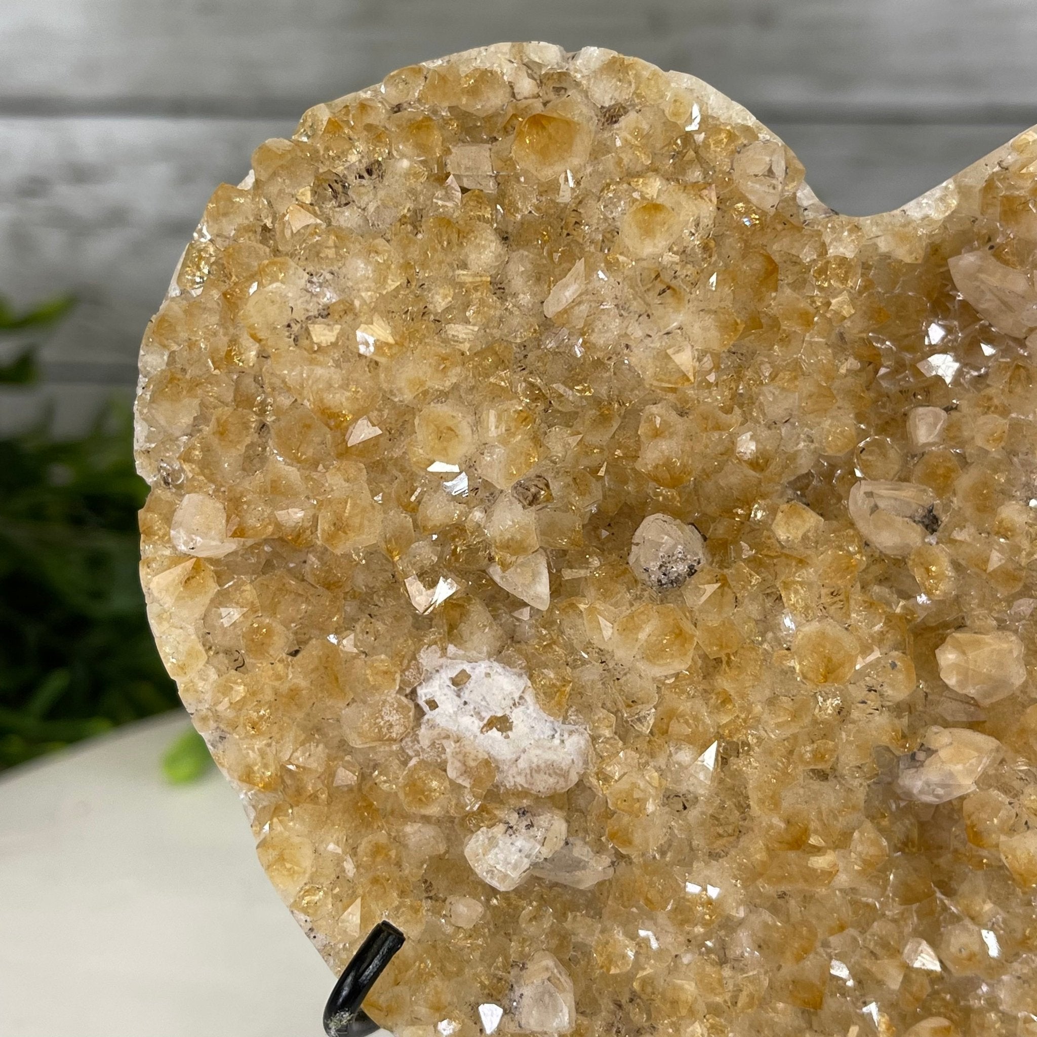 Standard Plus Quality Citrine Heart Geode, metal stand, 2.1 lbs & 6" Tall Model #5465-0034 by Brazil Gems - Brazil GemsBrazil GemsStandard Plus Quality Citrine Heart Geode, metal stand, 2.1 lbs & 6" Tall Model #5465-0034 by Brazil GemsHearts5465-0034