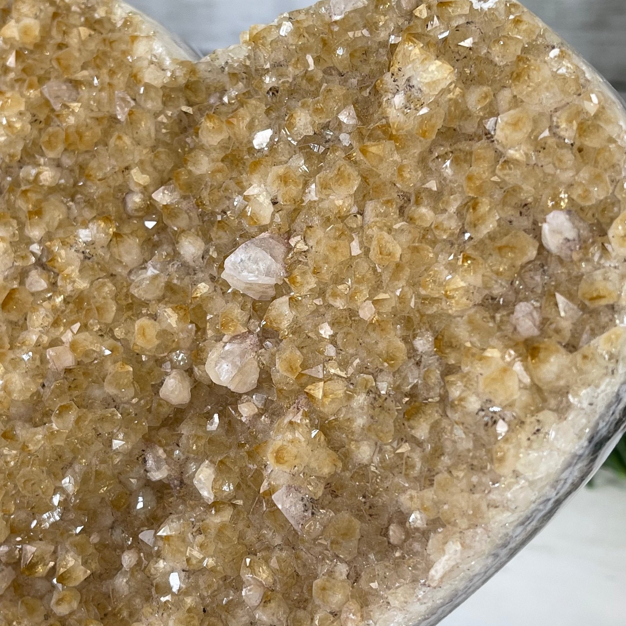 Standard Plus Quality Citrine Heart Geode, metal stand, 4.2 lbs & 7.5" Tall Model #5465-0037 by Brazil Gems - Brazil GemsBrazil GemsStandard Plus Quality Citrine Heart Geode, metal stand, 4.2 lbs & 7.5" Tall Model #5465-0037 by Brazil GemsHearts5465-0037