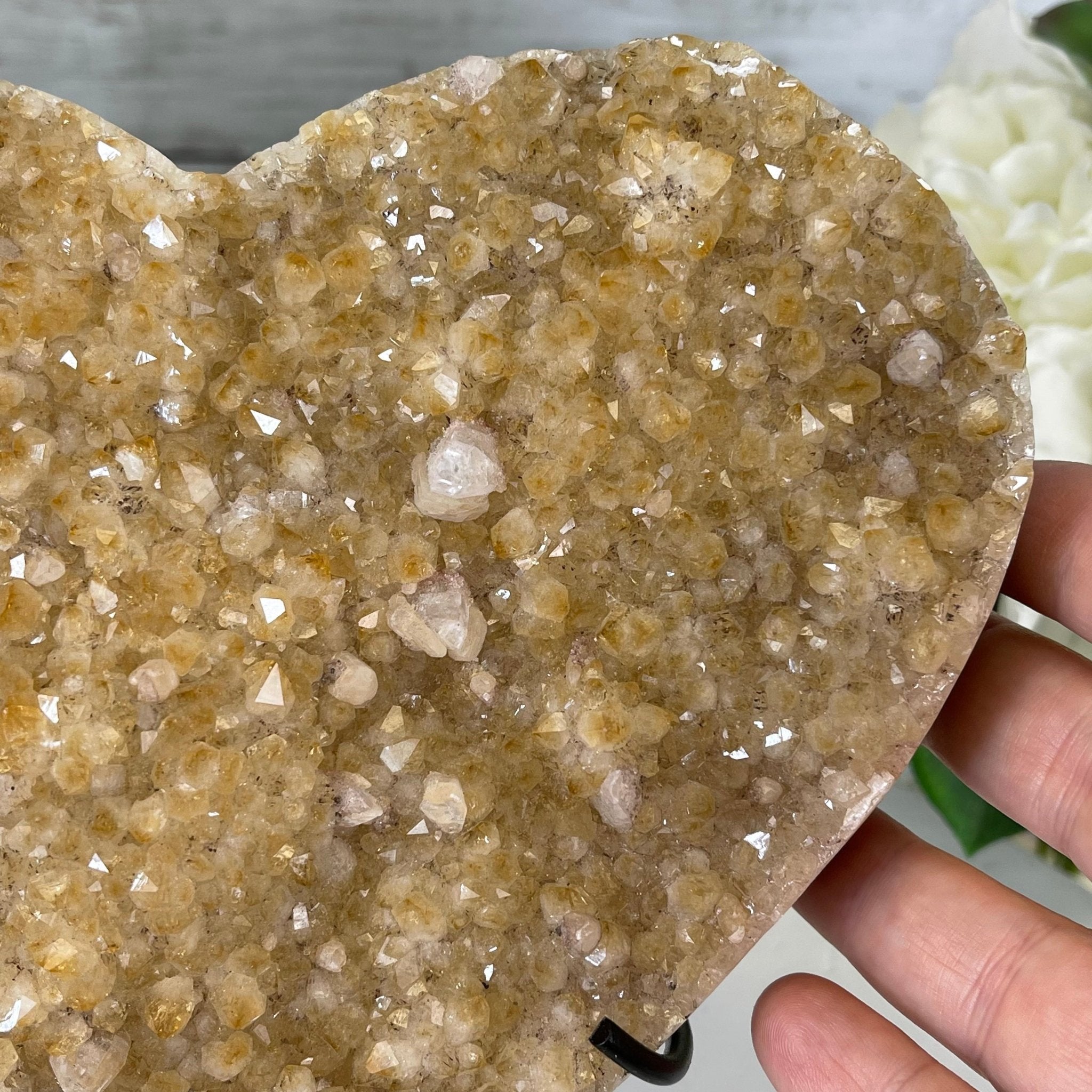 Standard Plus Quality Citrine Heart Geode, metal stand, 4.2 lbs & 7.5" Tall Model #5465-0037 by Brazil Gems - Brazil GemsBrazil GemsStandard Plus Quality Citrine Heart Geode, metal stand, 4.2 lbs & 7.5" Tall Model #5465-0037 by Brazil GemsHearts5465-0037