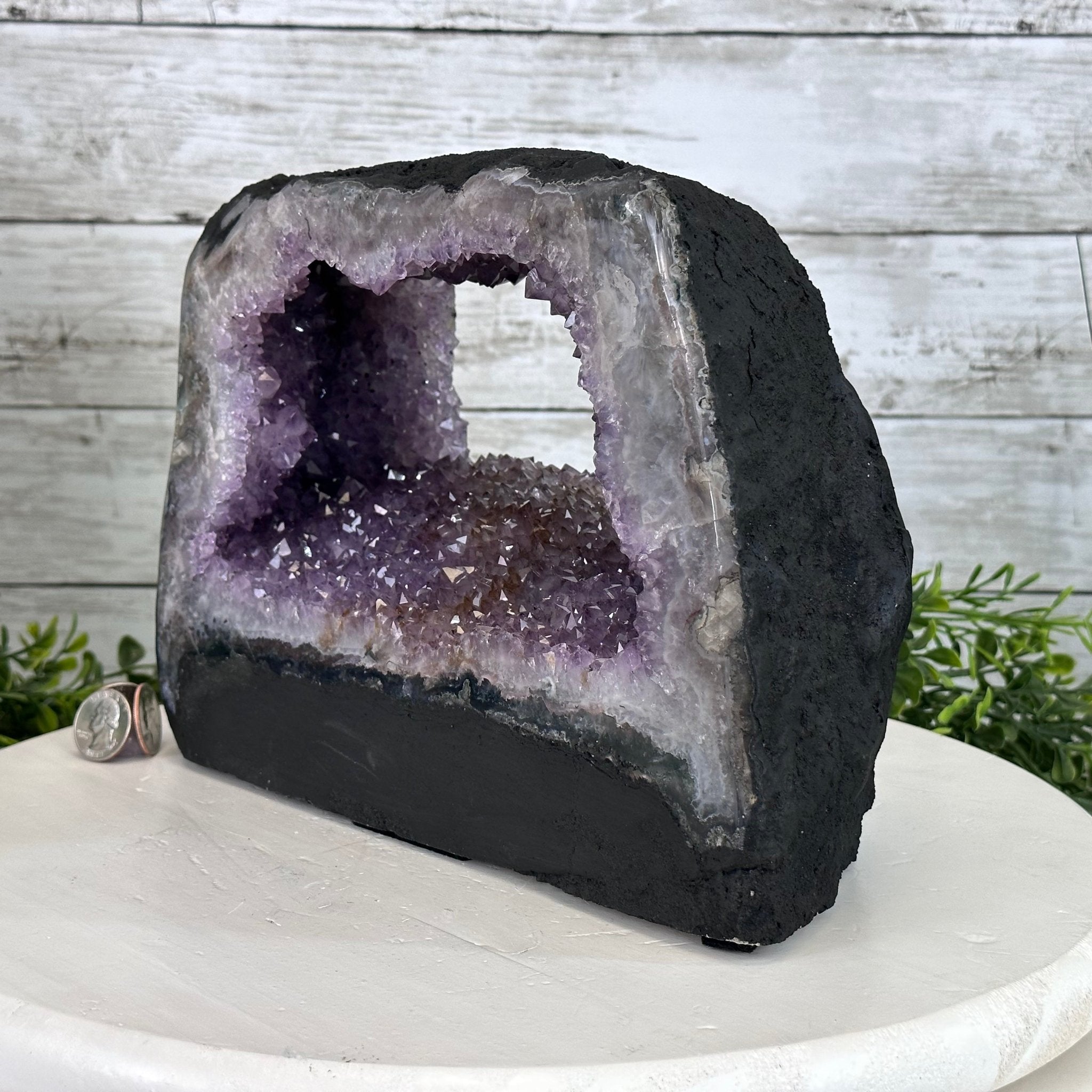 Standard Plus Quality Open 2-Sided Brazilian Amethyst Cathedral, 18.7 lbs, 7.6" tall, Model #5605-0126 by Brazil Gems - Brazil GemsBrazil GemsStandard Plus Quality Open 2-Sided Brazilian Amethyst Cathedral, 18.7 lbs, 7.6" tall, Model #5605-0126 by Brazil GemsOpen 2-Sided Cathedrals5605-0126
