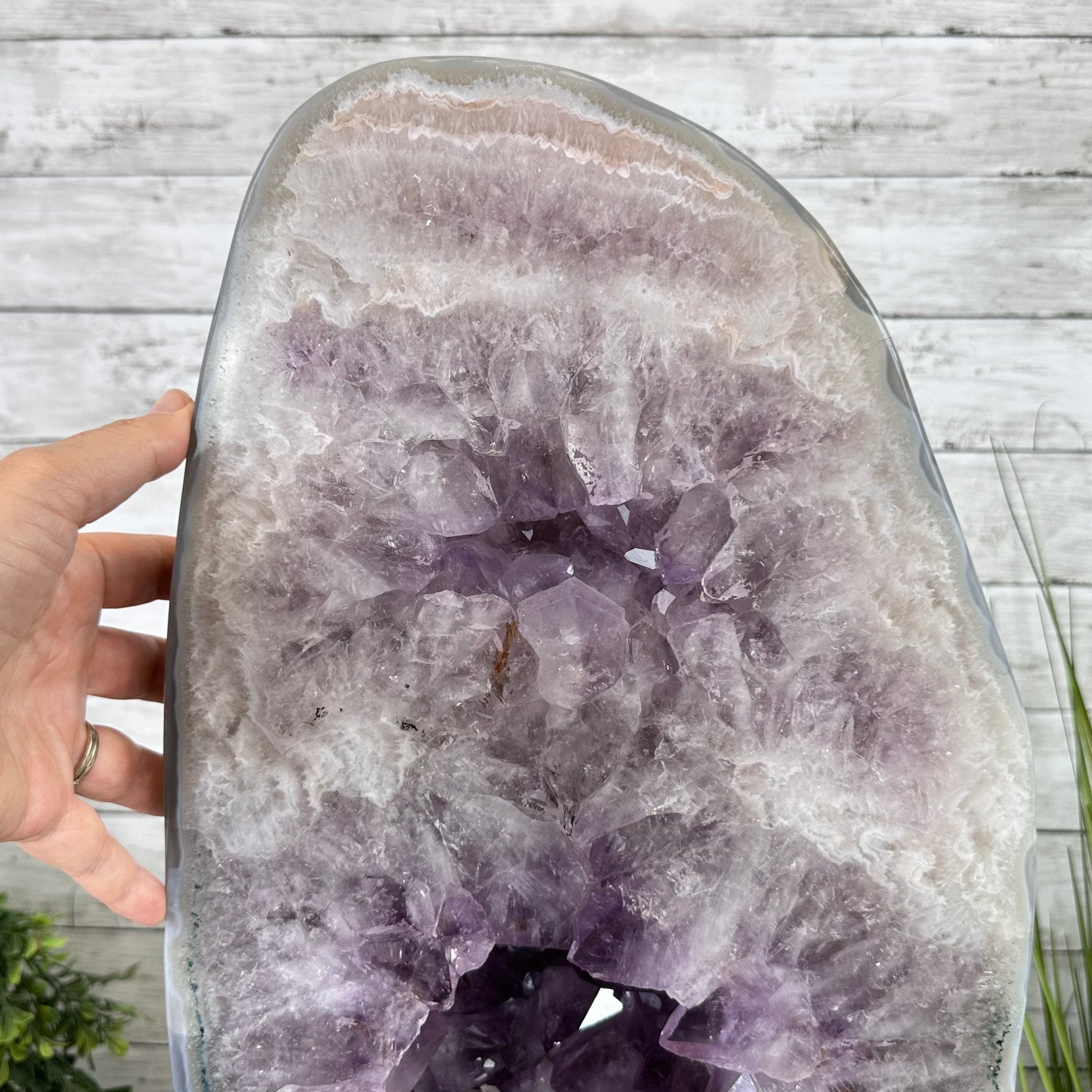Standard Plus Quality Polished Brazilian Amethyst Cathedral, 112.2 lbs & 31" tall Model #5602-0064 by Brazil Gems - Brazil GemsBrazil GemsStandard Plus Quality Polished Brazilian Amethyst Cathedral, 112.2 lbs & 31" tall Model #5602-0064 by Brazil GemsPolished Cathedrals5602-0064