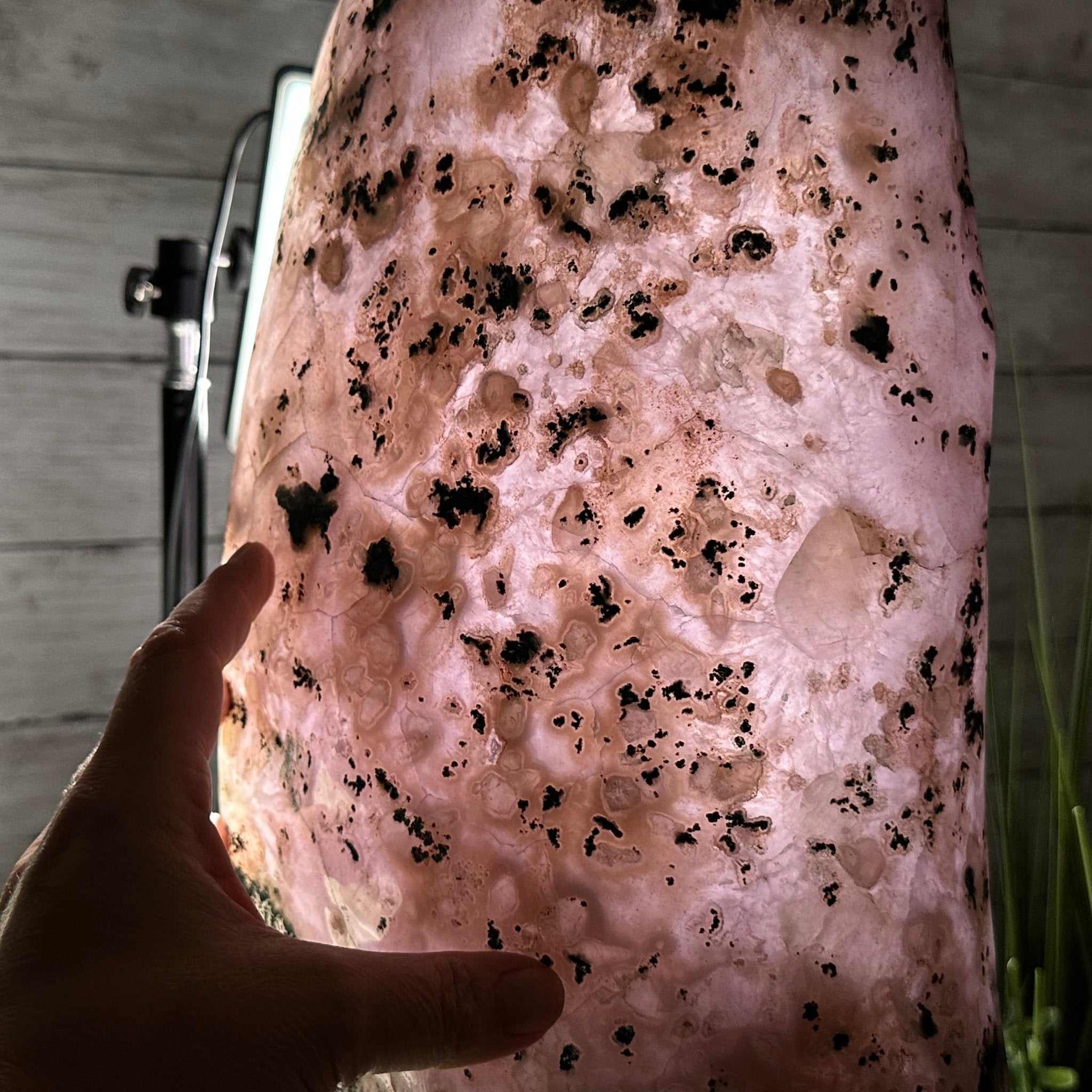 Standard Plus Quality Polished Brazilian Amethyst Cathedral, 46.1 lbs & 17.5" tall Model #5602-0192 by Brazil Gems - Brazil GemsBrazil GemsStandard Plus Quality Polished Brazilian Amethyst Cathedral, 46.1 lbs & 17.5" tall Model #5602-0192 by Brazil GemsPolished Cathedrals5602-0192