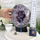 Standard Quality Amethyst Crystal on Cement Base, 22.8 lbs and 12.3" Tall #5614-0090 - Brazil GemsBrazil GemsStandard Quality Amethyst Crystal on Cement Base, 22.8 lbs and 12.3" Tall #5614-0090Clusters on Cement Bases5614-0090