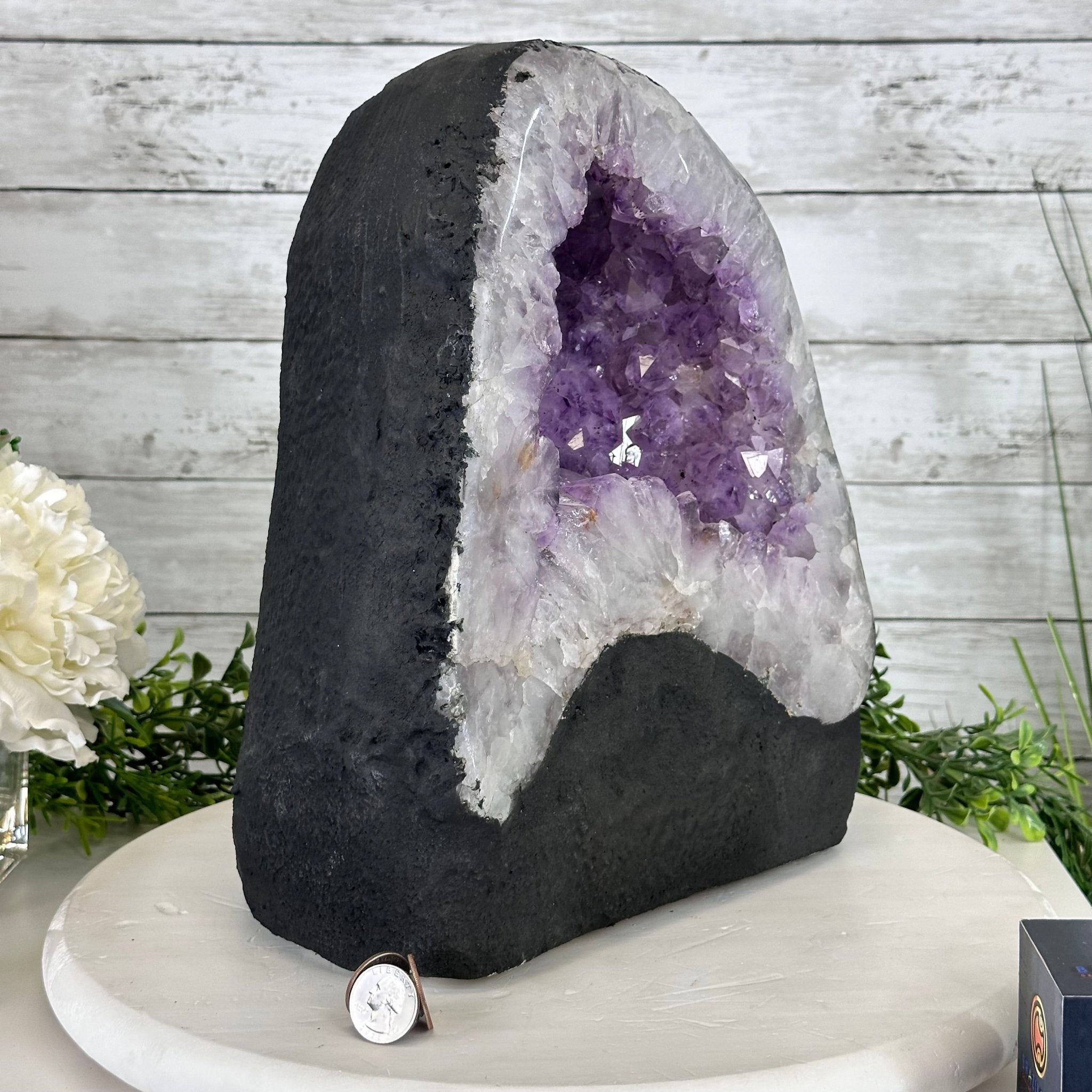 Standard Quality Amethyst Crystal on Cement Base, 37.7 lbs & 12.5" Tall #5614-0079 - Brazil GemsBrazil GemsStandard Quality Amethyst Crystal on Cement Base, 37.7 lbs & 12.5" Tall #5614-0079Clusters on Cement Bases5614-0079