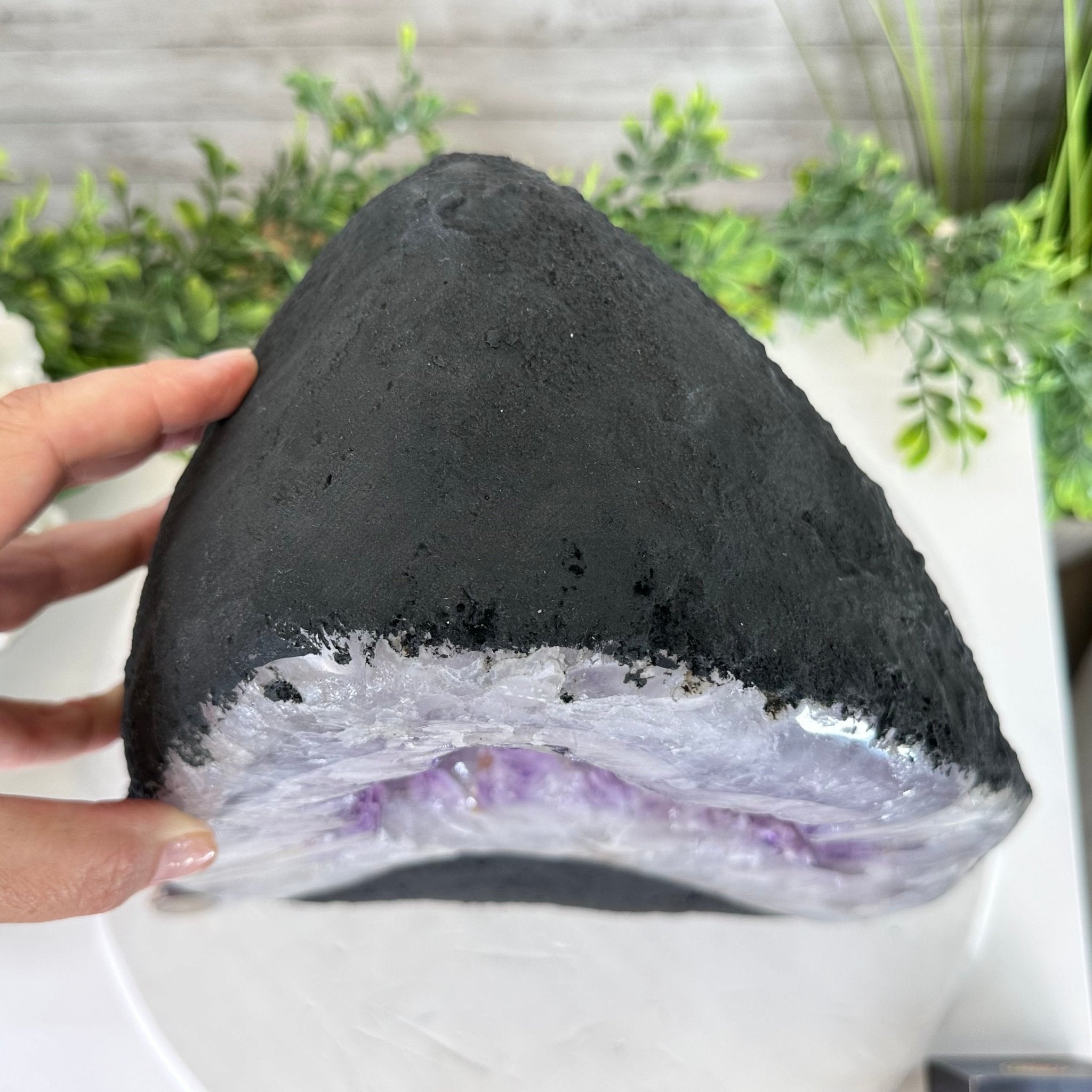 Standard Quality Amethyst Crystal on Cement Base, 37.7 lbs & 12.5" Tall #5614-0079 - Brazil GemsBrazil GemsStandard Quality Amethyst Crystal on Cement Base, 37.7 lbs & 12.5" Tall #5614-0079Clusters on Cement Bases5614-0079