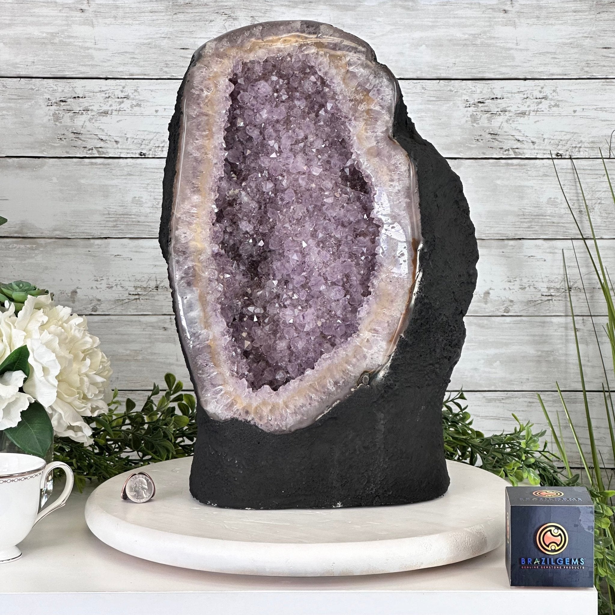 Standard Quality Amethyst Crystal on Cement Base, 37.9 lbs & 16" Tall #5614-0080 - Brazil GemsBrazil GemsStandard Quality Amethyst Crystal on Cement Base, 37.9 lbs & 16" Tall #5614-0080Clusters on Cement Bases5614-0080