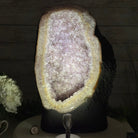 Standard Quality Amethyst Crystal on Cement Base, 37.9 lbs & 16" Tall #5614-0080 - Brazil GemsBrazil GemsStandard Quality Amethyst Crystal on Cement Base, 37.9 lbs & 16" Tall #5614-0080Clusters on Cement Bases5614-0080