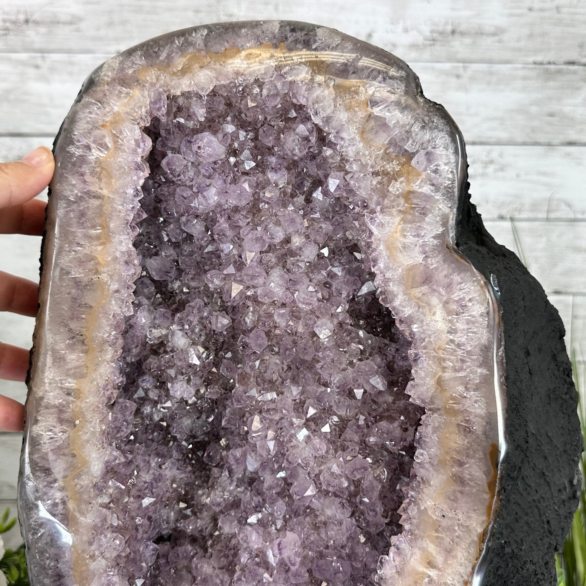 Standard Quality Amethyst Crystal on Cement Base, 37.9 lbs & 16" Tall #5614-0080 - Brazil GemsBrazil GemsStandard Quality Amethyst Crystal on Cement Base, 37.9 lbs & 16" Tall #5614-0080Clusters on Cement Bases5614-0080
