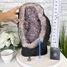 Standard Quality Amethyst Crystal on Cement Base, 37.9 lbs & 16" Tall #5614-0080 - Brazil GemsBrazil GemsStandard Quality Amethyst Crystal on Cement Base, 37.9 lbs & 16" Tall #5614-0080Clusters on Cement Bases5614-0080