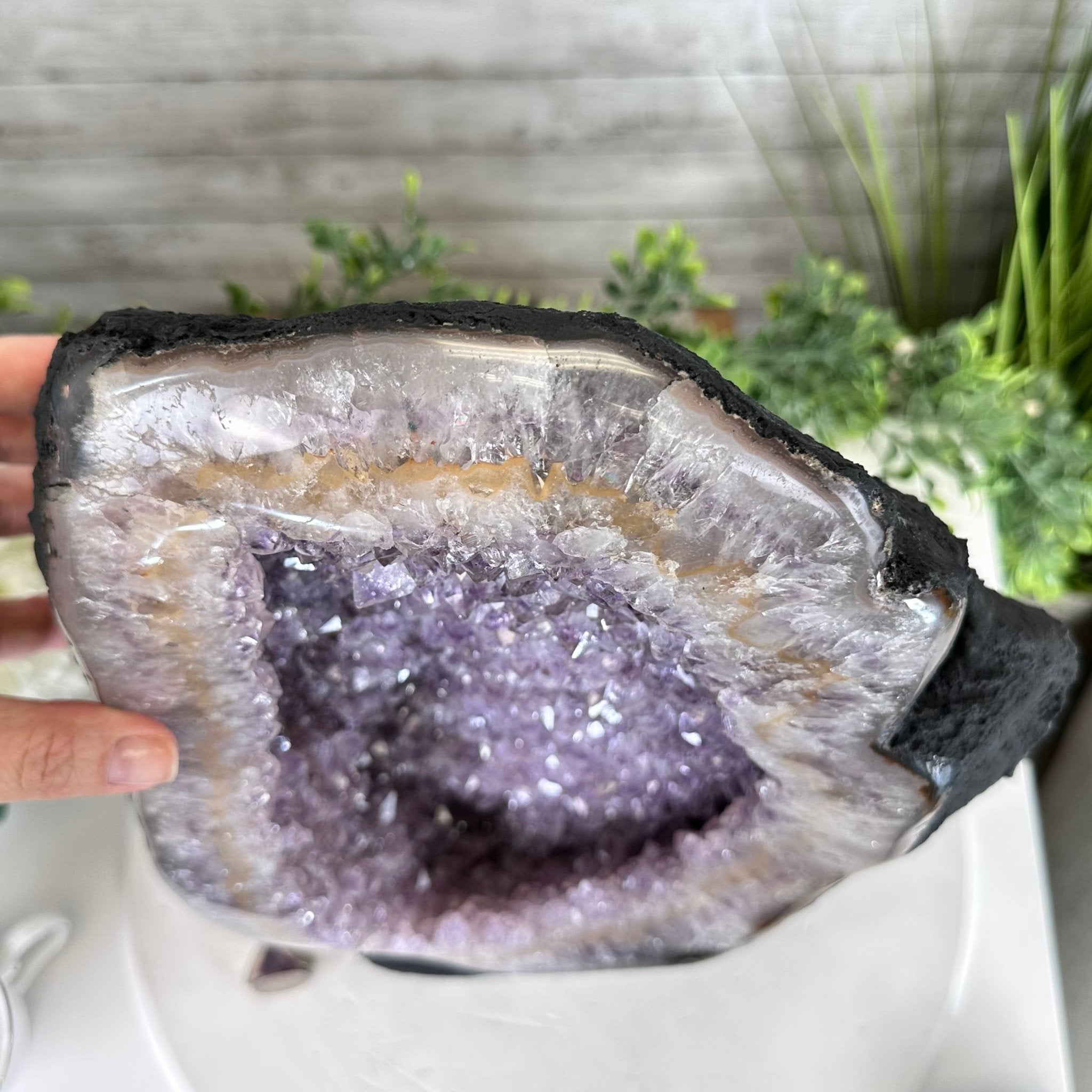 Standard Quality Amethyst Crystal on Cement Base, 37.9 lbs & 16" Tall #5614-0080 - Brazil GemsBrazil GemsStandard Quality Amethyst Crystal on Cement Base, 37.9 lbs & 16" Tall #5614-0080Clusters on Cement Bases5614-0080