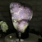 Standard Quality Amethyst Crystal on Cement Base, 46.7 lbs & 14.8" Tall #5614-0082 - Brazil GemsBrazil GemsStandard Quality Amethyst Crystal on Cement Base, 46.7 lbs & 14.8" Tall #5614-0082Clusters on Cement Bases5614-0082