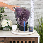 Standard Quality Amethyst Crystal on Cement Base, 46.7 lbs & 14.8" Tall #5614-0082 - Brazil GemsBrazil GemsStandard Quality Amethyst Crystal on Cement Base, 46.7 lbs & 14.8" Tall #5614-0082Clusters on Cement Bases5614-0082