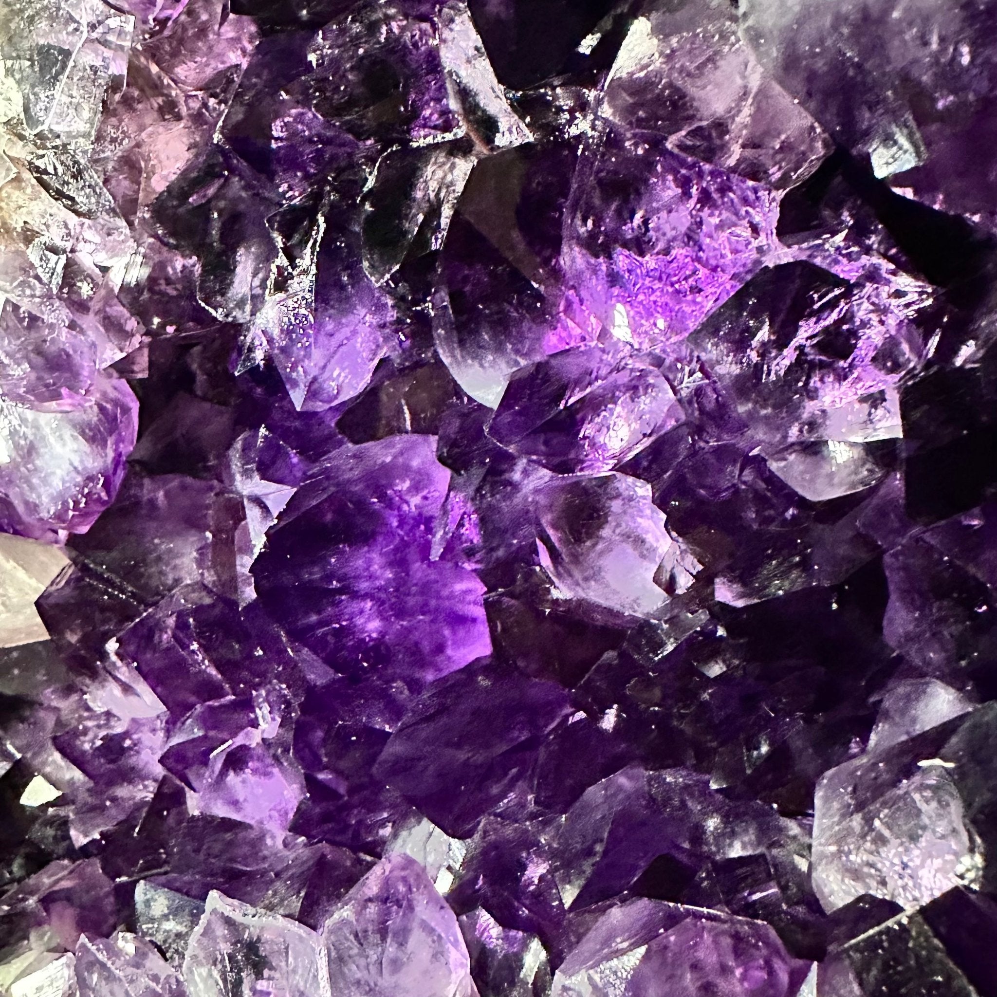 Super Quality Amethyst Cluster "Dolphin" on Metal Stand, 63.9 lbs & 23.1" tall #5491-0059 by Brazil Gems - Brazil GemsBrazil GemsSuper Quality Amethyst Cluster "Dolphin" on Metal Stand, 63.9 lbs & 23.1" tall #5491-0059 by Brazil GemsClusters on Fixed Bases5491-0059