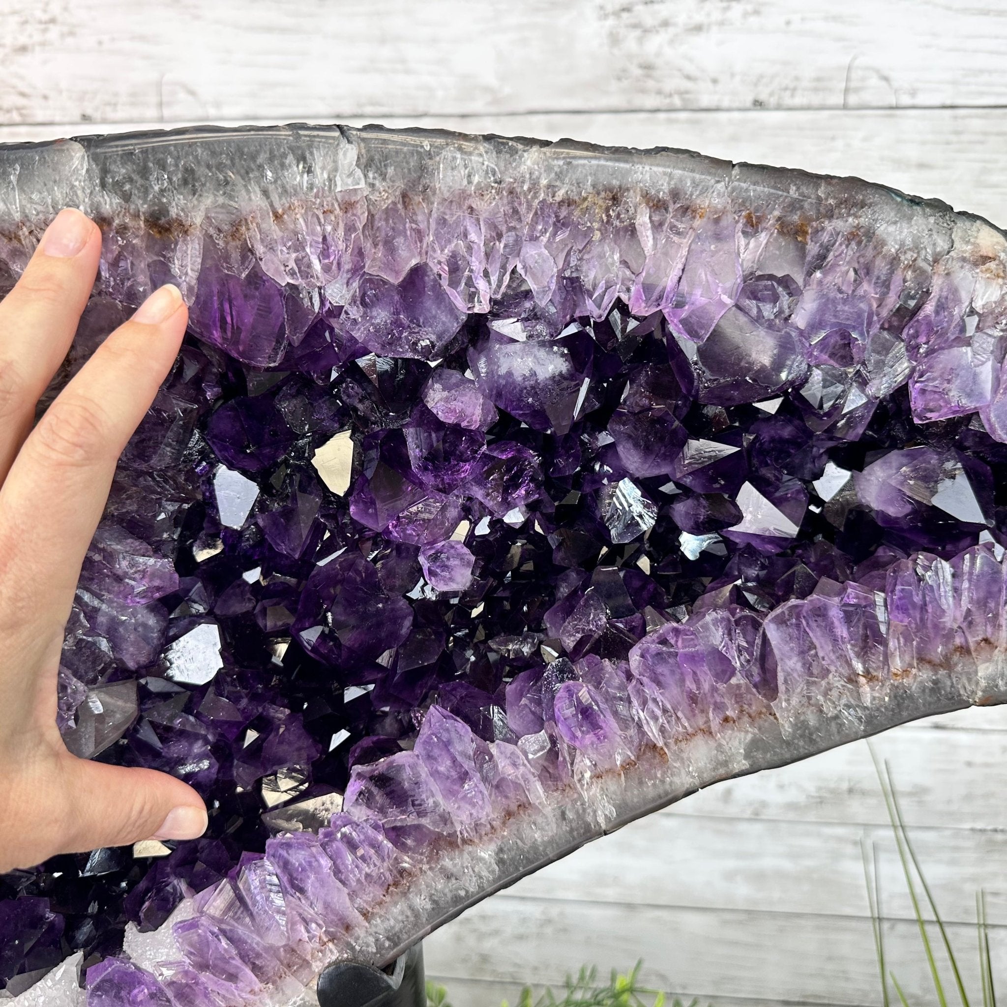 Super Quality Amethyst Cluster "Dolphin" on Metal Stand, 63.9 lbs & 23.1" tall #5491-0059 by Brazil Gems - Brazil GemsBrazil GemsSuper Quality Amethyst Cluster "Dolphin" on Metal Stand, 63.9 lbs & 23.1" tall #5491-0059 by Brazil GemsClusters on Fixed Bases5491-0059