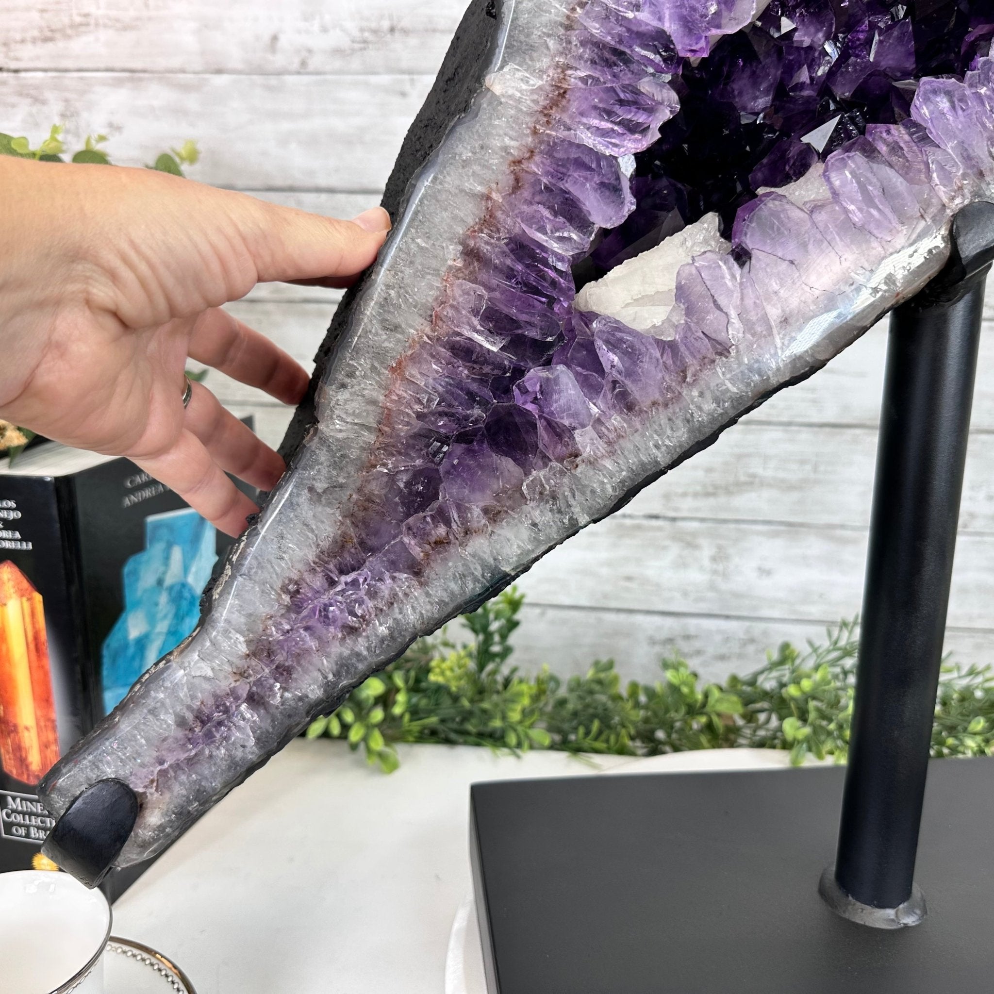 Super Quality Amethyst Cluster "Dolphin" on Metal Stand, 63.9 lbs & 23.1" tall #5491-0059 by Brazil Gems - Brazil GemsBrazil GemsSuper Quality Amethyst Cluster "Dolphin" on Metal Stand, 63.9 lbs & 23.1" tall #5491-0059 by Brazil GemsClusters on Fixed Bases5491-0059