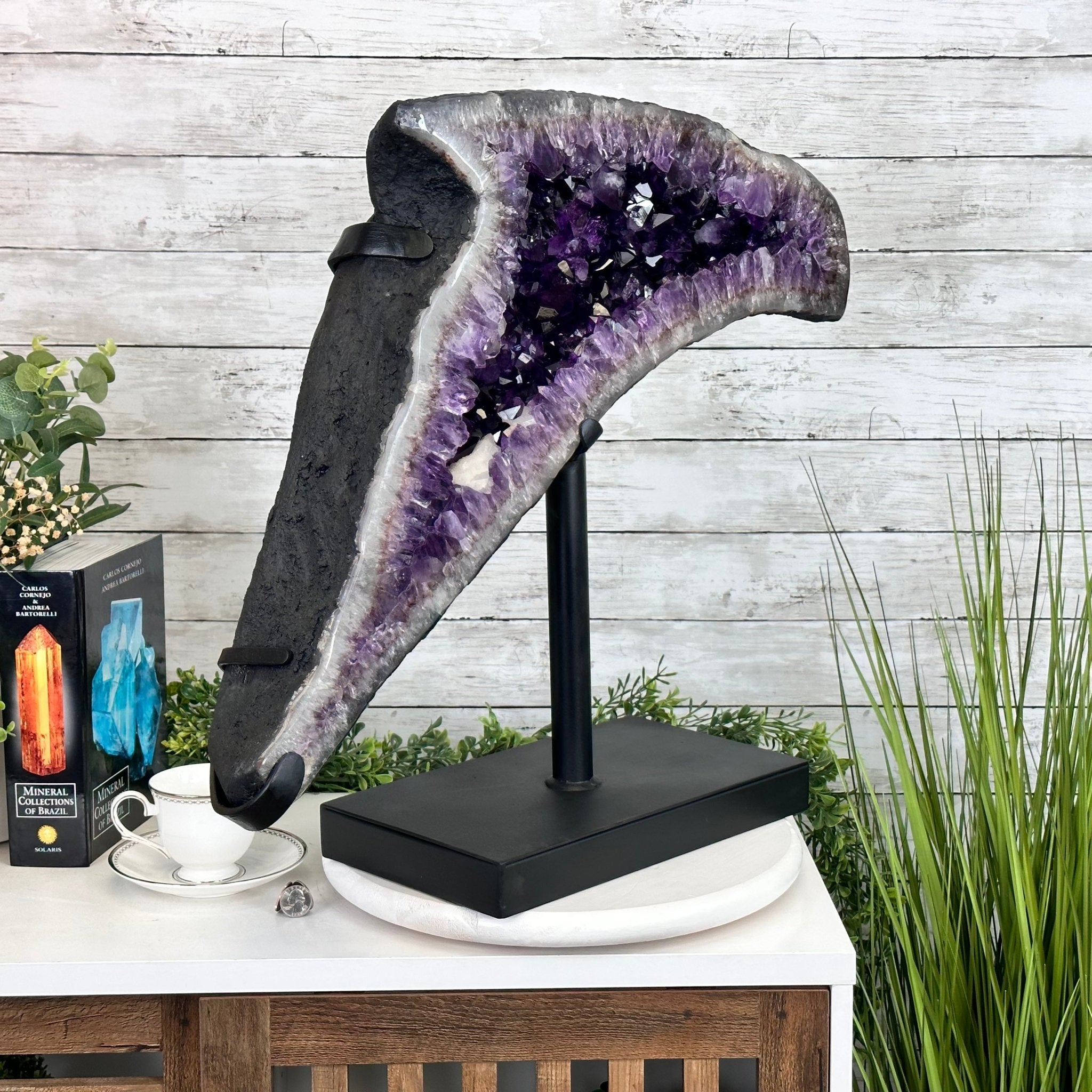 Super Quality Amethyst Cluster "Dolphin" on Metal Stand, 63.9 lbs & 23.1" tall #5491-0059 by Brazil Gems - Brazil GemsBrazil GemsSuper Quality Amethyst Cluster "Dolphin" on Metal Stand, 63.9 lbs & 23.1" tall #5491-0059 by Brazil GemsClusters on Fixed Bases5491-0059
