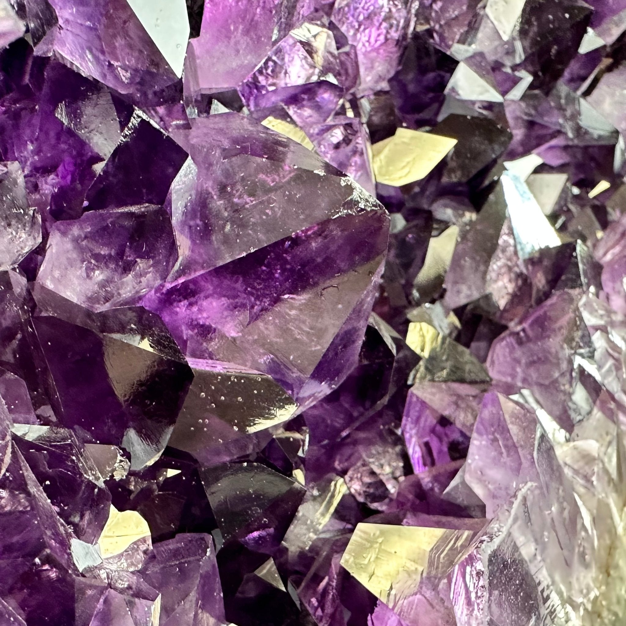 Super Quality Amethyst Cluster "Dolphin" on Metal Stand, 63.9 lbs & 23.1" tall #5491-0059 by Brazil Gems - Brazil GemsBrazil GemsSuper Quality Amethyst Cluster "Dolphin" on Metal Stand, 63.9 lbs & 23.1" tall #5491-0059 by Brazil GemsClusters on Fixed Bases5491-0059