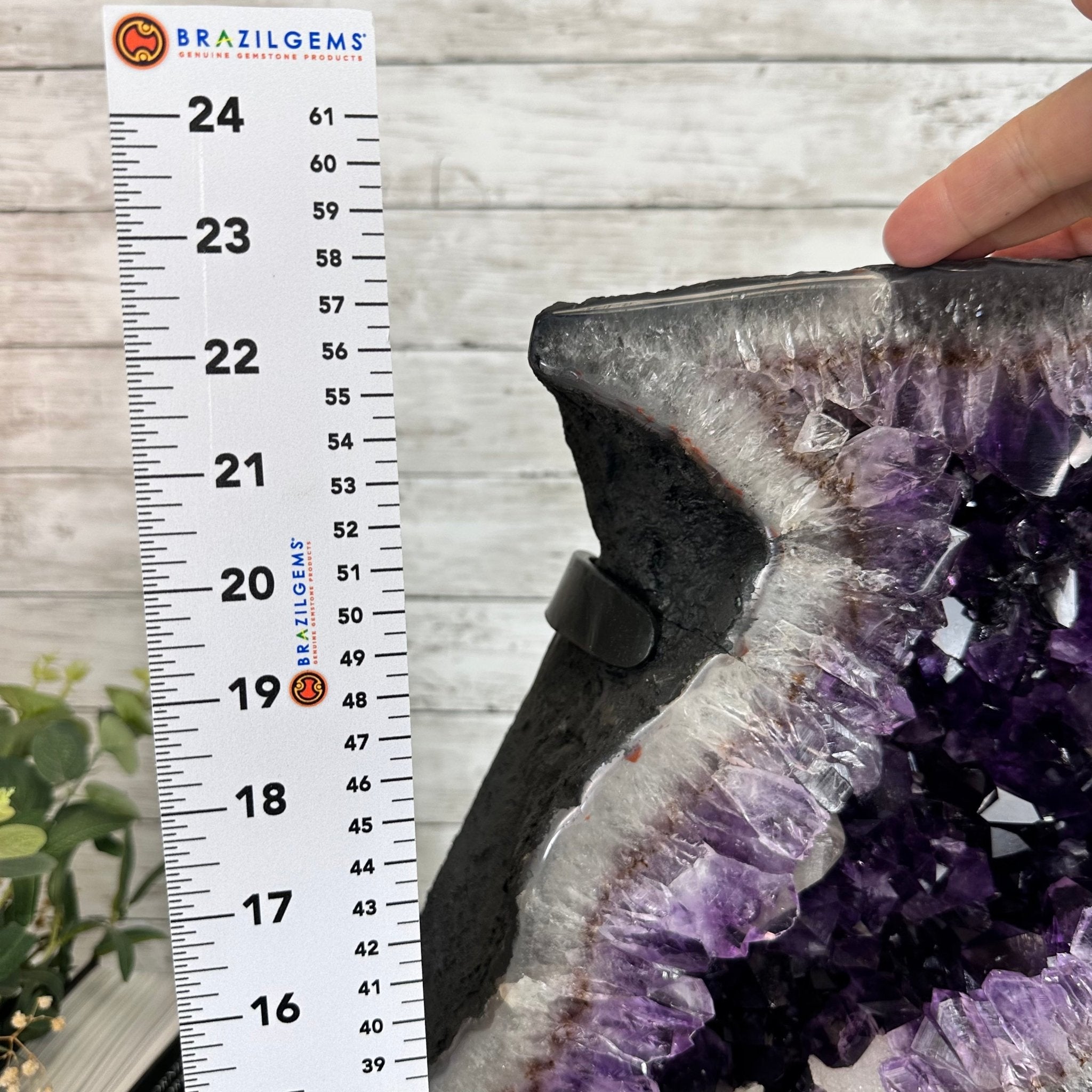 Super Quality Amethyst Cluster "Dolphin" on Metal Stand, 63.9 lbs & 23.1" tall #5491-0059 by Brazil Gems - Brazil GemsBrazil GemsSuper Quality Amethyst Cluster "Dolphin" on Metal Stand, 63.9 lbs & 23.1" tall #5491-0059 by Brazil GemsClusters on Fixed Bases5491-0059