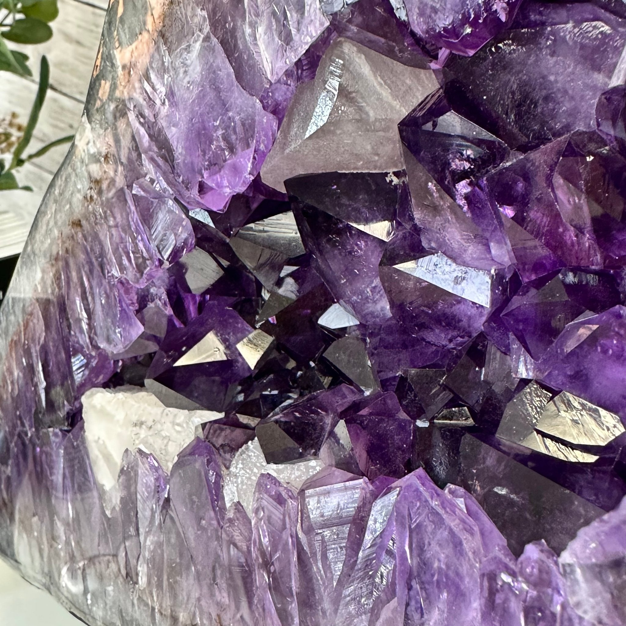 Super Quality Amethyst Cluster "Dolphin" on Metal Stand, 63.9 lbs & 23.1" tall #5491-0059 by Brazil Gems - Brazil GemsBrazil GemsSuper Quality Amethyst Cluster "Dolphin" on Metal Stand, 63.9 lbs & 23.1" tall #5491-0059 by Brazil GemsClusters on Fixed Bases5491-0059