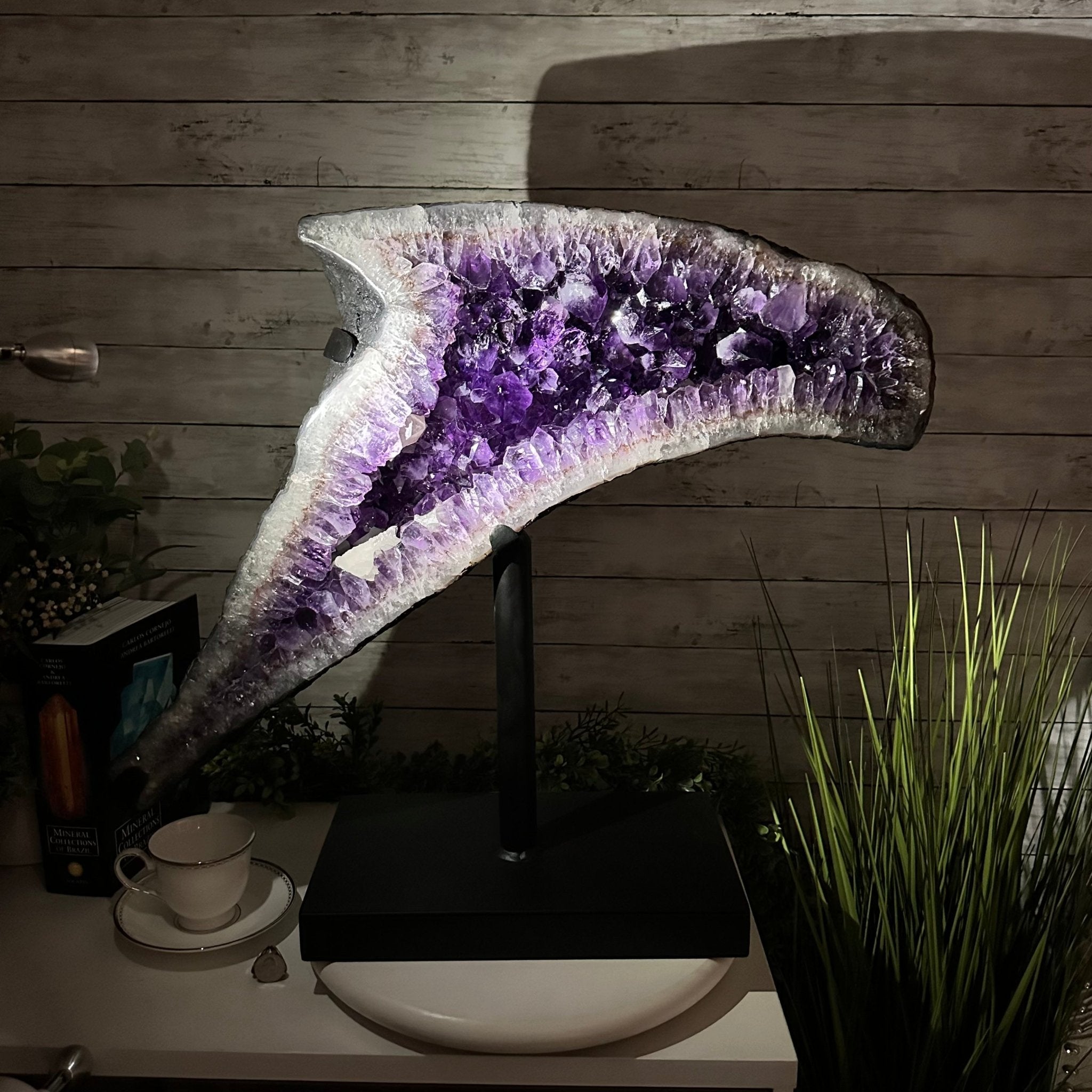 Super Quality Amethyst Cluster "Dolphin" on Metal Stand, 63.9 lbs & 23.1" tall #5491-0059 by Brazil Gems - Brazil GemsBrazil GemsSuper Quality Amethyst Cluster "Dolphin" on Metal Stand, 63.9 lbs & 23.1" tall #5491-0059 by Brazil GemsClusters on Fixed Bases5491-0059