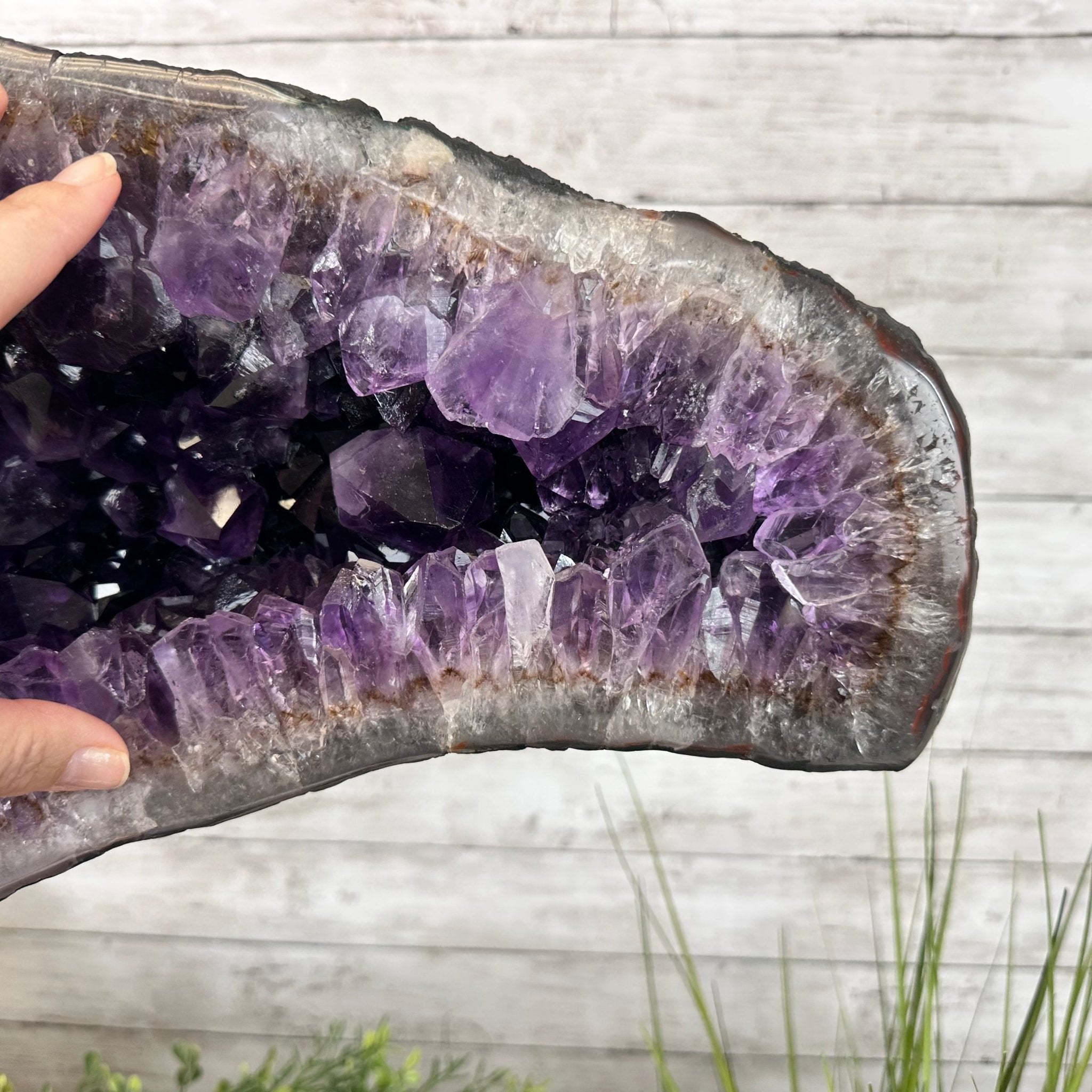 Super Quality Amethyst Cluster "Dolphin" on Metal Stand, 63.9 lbs & 23.1" tall #5491-0059 by Brazil Gems - Brazil GemsBrazil GemsSuper Quality Amethyst Cluster "Dolphin" on Metal Stand, 63.9 lbs & 23.1" tall #5491-0059 by Brazil GemsClusters on Fixed Bases5491-0059