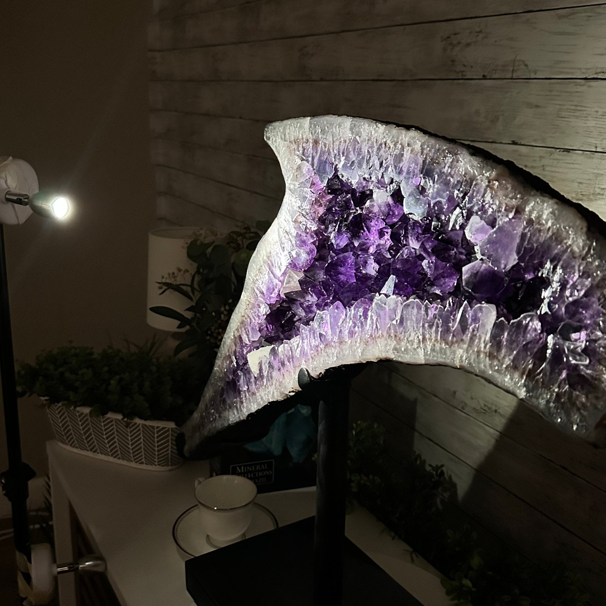 Super Quality Amethyst Cluster "Dolphin" on Metal Stand, 63.9 lbs & 23.1" tall #5491-0059 by Brazil Gems - Brazil GemsBrazil GemsSuper Quality Amethyst Cluster "Dolphin" on Metal Stand, 63.9 lbs & 23.1" tall #5491-0059 by Brazil GemsClusters on Fixed Bases5491-0059