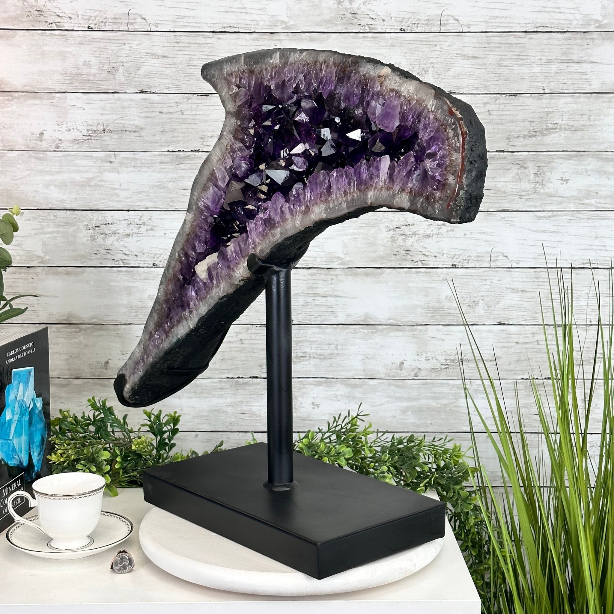 Super Quality Amethyst Cluster "Dolphin" on Metal Stand, 63.9 lbs & 23.1" tall #5491-0059 by Brazil Gems - Brazil GemsBrazil GemsSuper Quality Amethyst Cluster "Dolphin" on Metal Stand, 63.9 lbs & 23.1" tall #5491-0059 by Brazil GemsClusters on Fixed Bases5491-0059