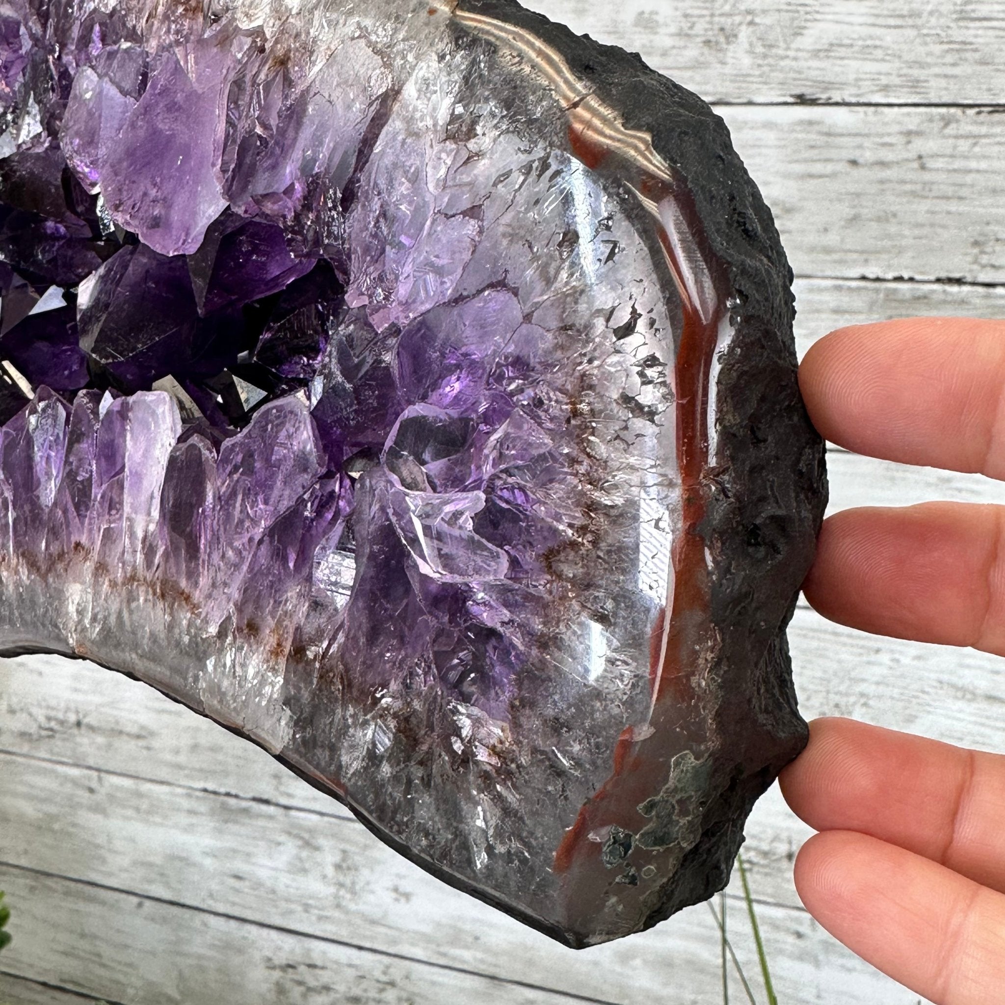 Super Quality Amethyst Cluster "Dolphin" on Metal Stand, 63.9 lbs & 23.1" tall #5491-0059 by Brazil Gems - Brazil GemsBrazil GemsSuper Quality Amethyst Cluster "Dolphin" on Metal Stand, 63.9 lbs & 23.1" tall #5491-0059 by Brazil GemsClusters on Fixed Bases5491-0059