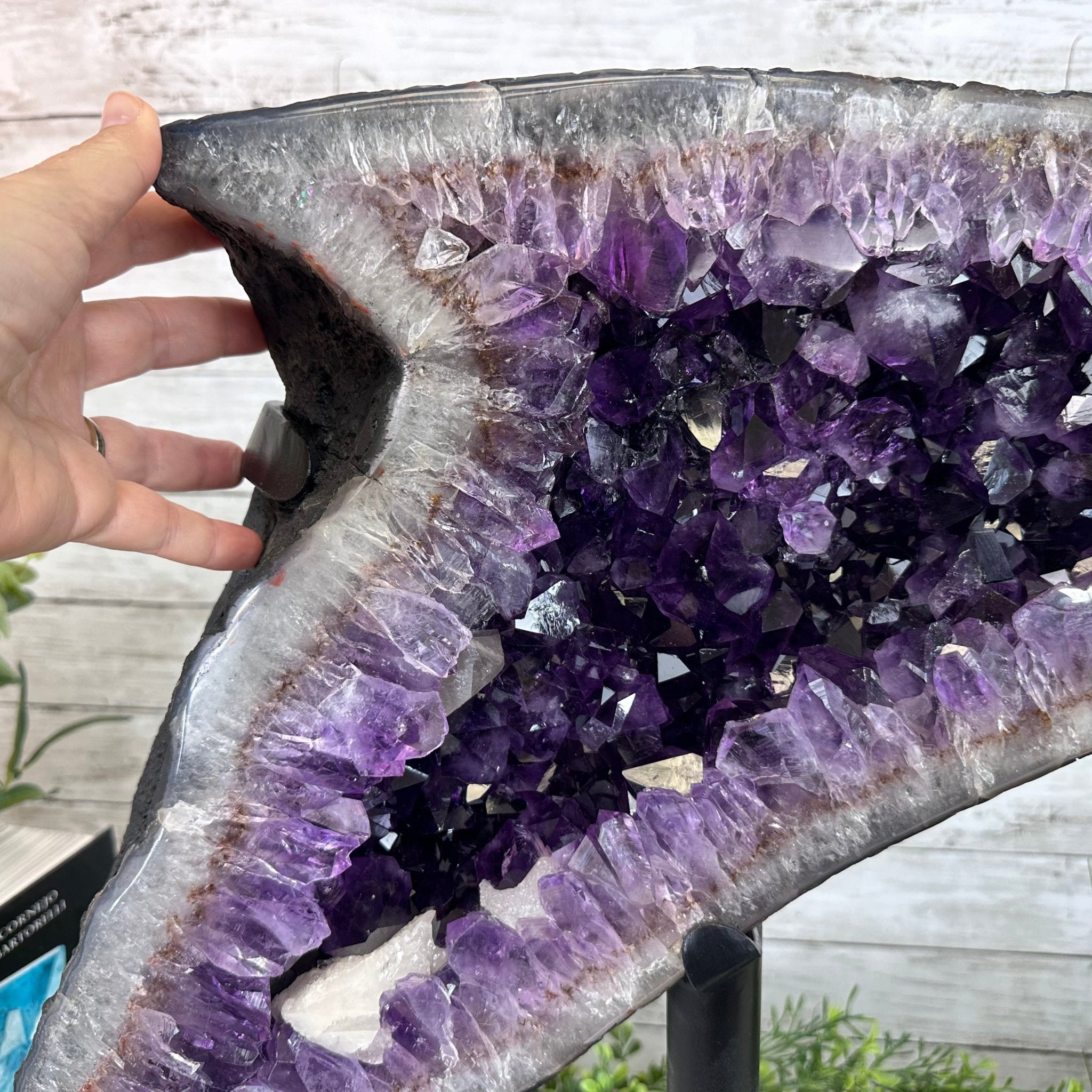 Super Quality Amethyst Cluster "Dolphin" on Metal Stand, 63.9 lbs & 23.1" tall #5491-0059 by Brazil Gems - Brazil GemsBrazil GemsSuper Quality Amethyst Cluster "Dolphin" on Metal Stand, 63.9 lbs & 23.1" tall #5491-0059 by Brazil GemsClusters on Fixed Bases5491-0059