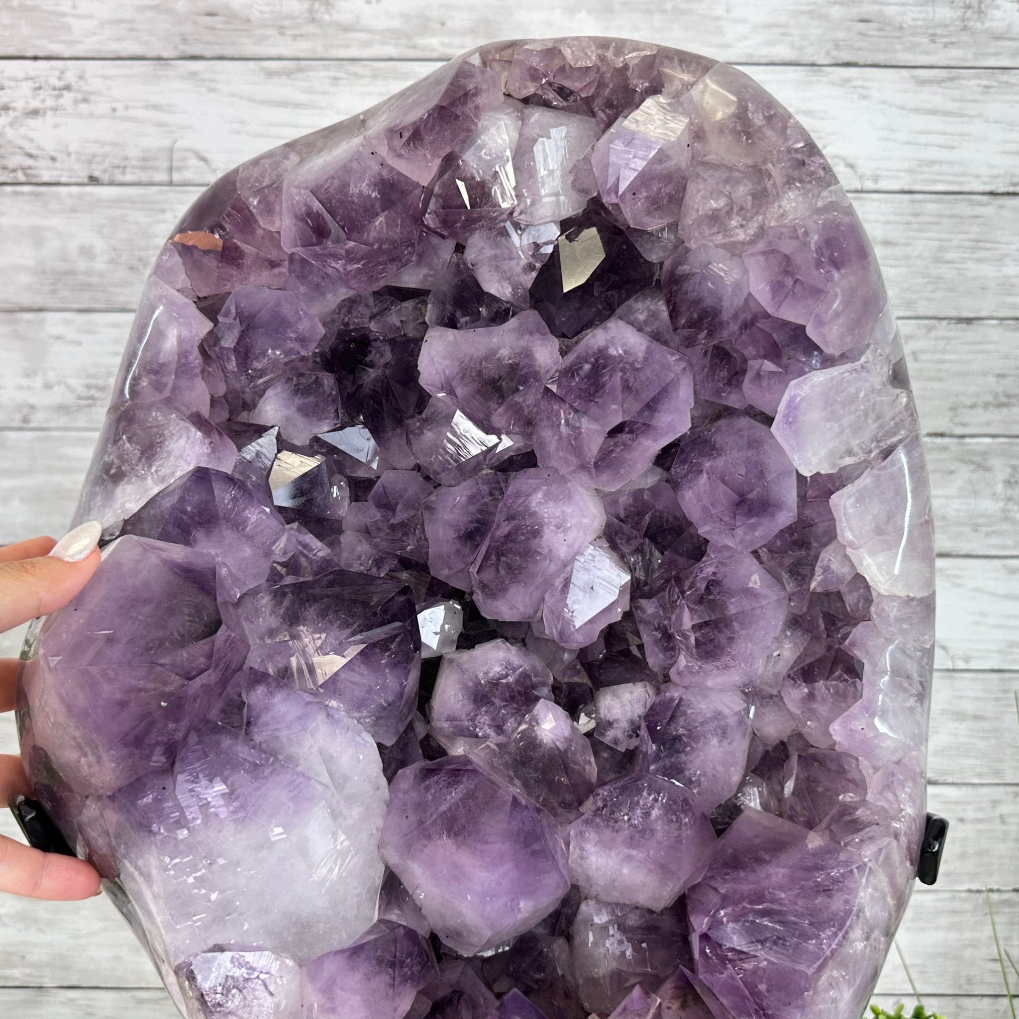 Super Quality Amethyst Cluster on a Metal Base, 76 lbs & 24.1" Tall #5491 - 0161 - Brazil GemsBrazil GemsSuper Quality Amethyst Cluster on a Metal Base, 76 lbs & 24.1" Tall #5491 - 0161Clusters on Fixed Bases5491 - 0161