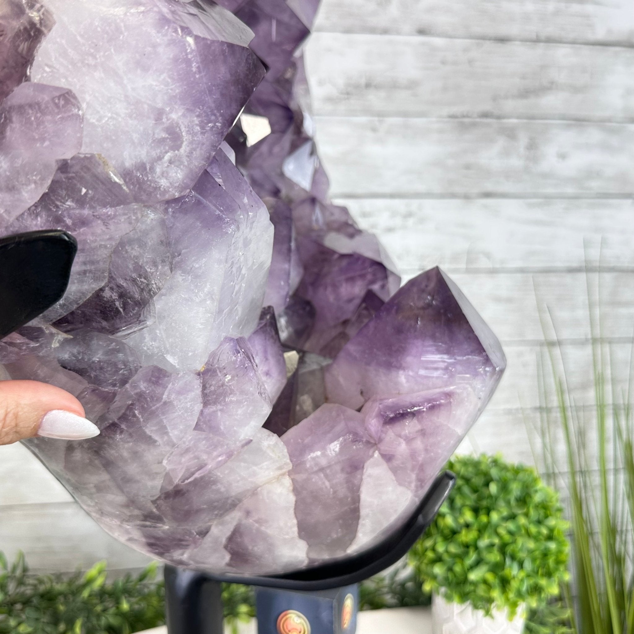Super Quality Amethyst Cluster on a Metal Base, 76 lbs & 24.1" Tall #5491 - 0161 - Brazil GemsBrazil GemsSuper Quality Amethyst Cluster on a Metal Base, 76 lbs & 24.1" Tall #5491 - 0161Clusters on Fixed Bases5491 - 0161