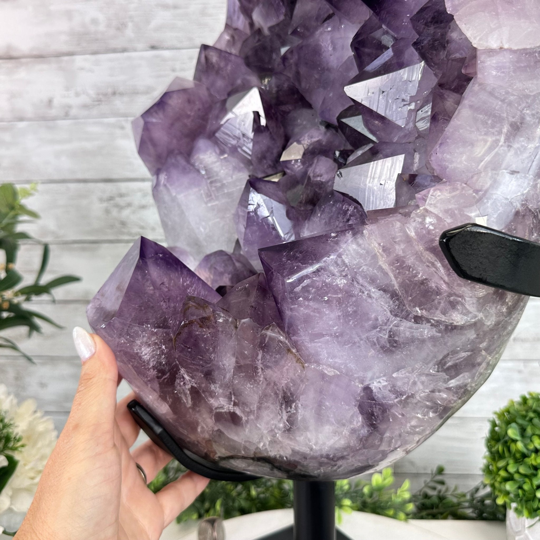 Super Quality Amethyst Cluster on a Metal Base, 76 lbs & 24.1" Tall #5491 - 0161 - Brazil GemsBrazil GemsSuper Quality Amethyst Cluster on a Metal Base, 76 lbs & 24.1" Tall #5491 - 0161Clusters on Fixed Bases5491 - 0161