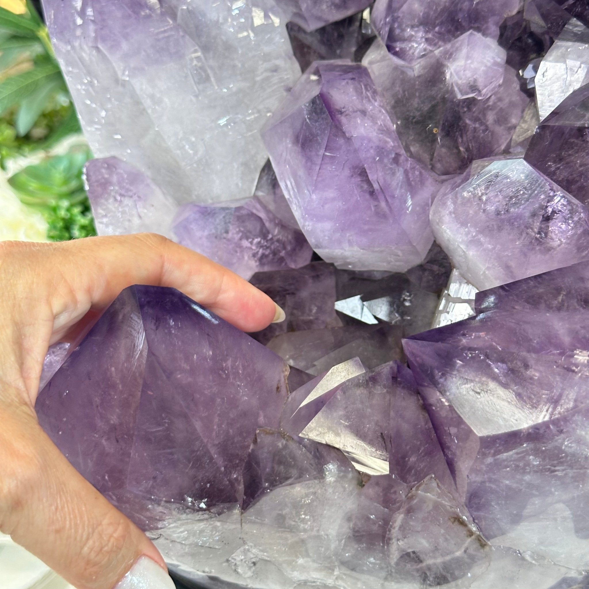 Super Quality Amethyst Cluster on a Metal Base, 76 lbs & 24.1" Tall #5491 - 0161 - Brazil GemsBrazil GemsSuper Quality Amethyst Cluster on a Metal Base, 76 lbs & 24.1" Tall #5491 - 0161Clusters on Fixed Bases5491 - 0161