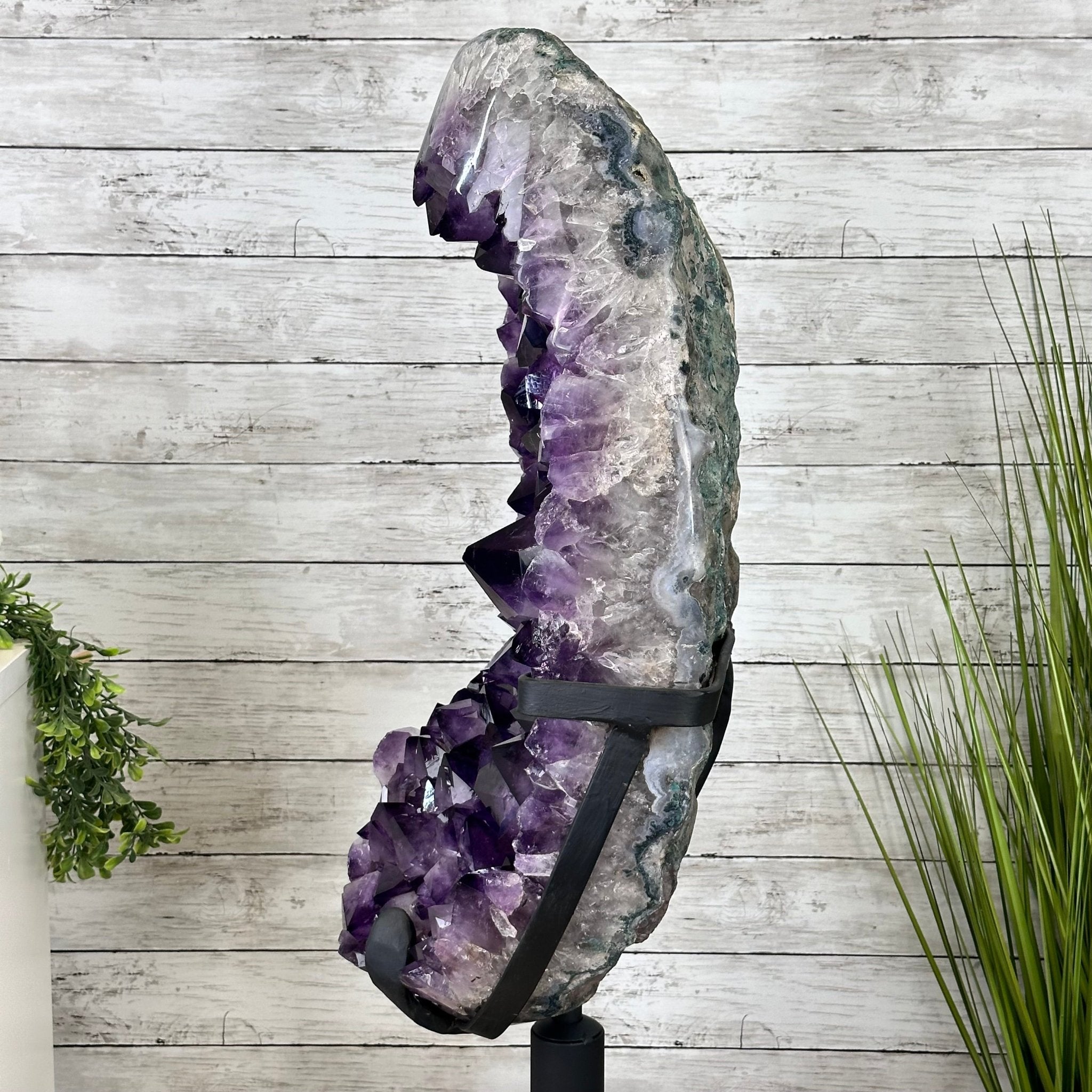 Super Quality Amethyst Cluster on Rotating Stand, 141 lbs & 32" Tall #5492-0029 - Brazil GemsBrazil GemsSuper Quality Amethyst Cluster on Rotating Stand, 141 lbs & 32" Tall #5492-0029Clusters on Rotating Bases5492-0029