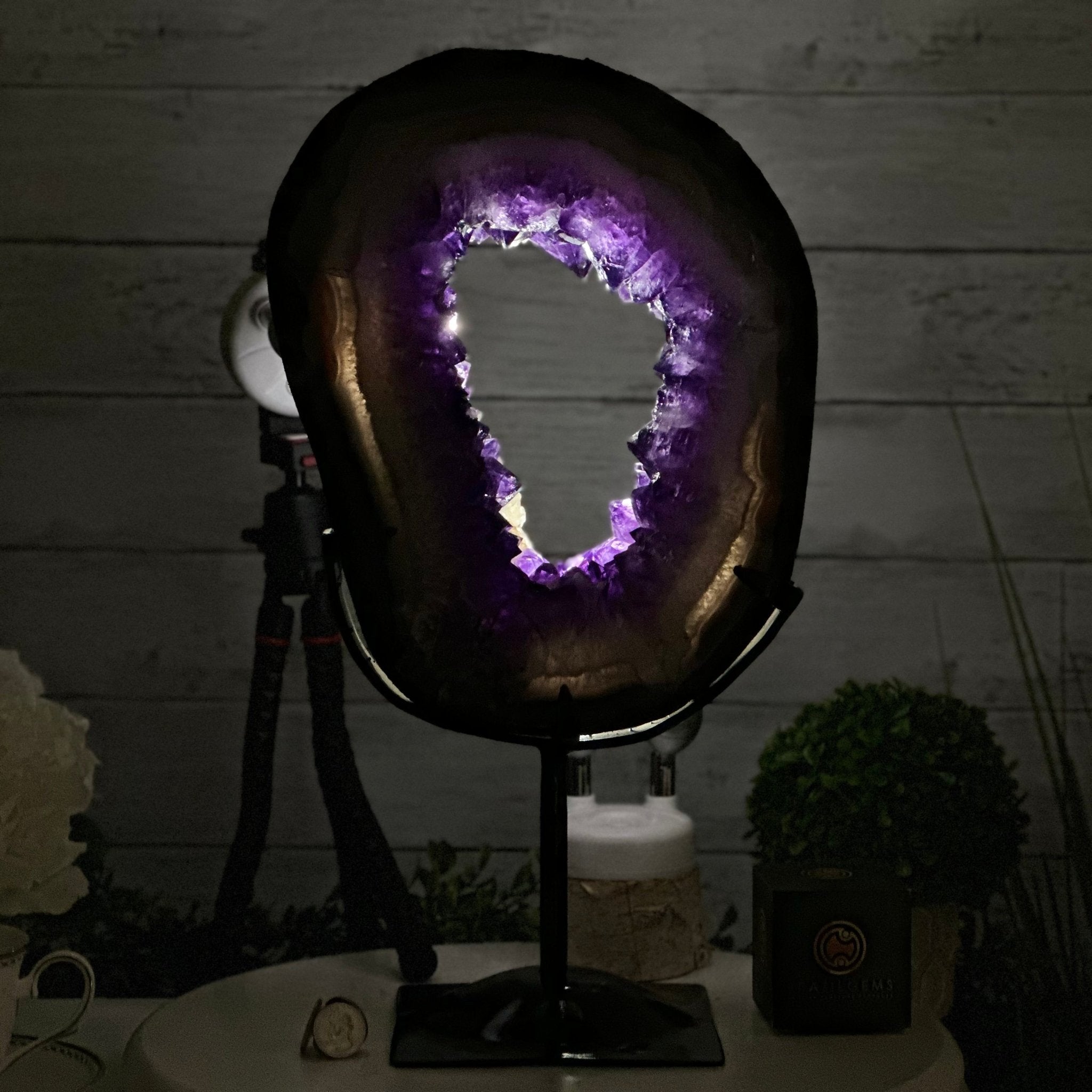 Super Quality Amethyst Portal by Brazil Gems®, 14.2 lbs & 17.6" Tall #5606-0098 - Brazil GemsBrazil GemsSuper Quality Amethyst Portal by Brazil Gems®, 14.2 lbs & 17.6" Tall #5606-0098Portals on Fixed Bases5606-0098