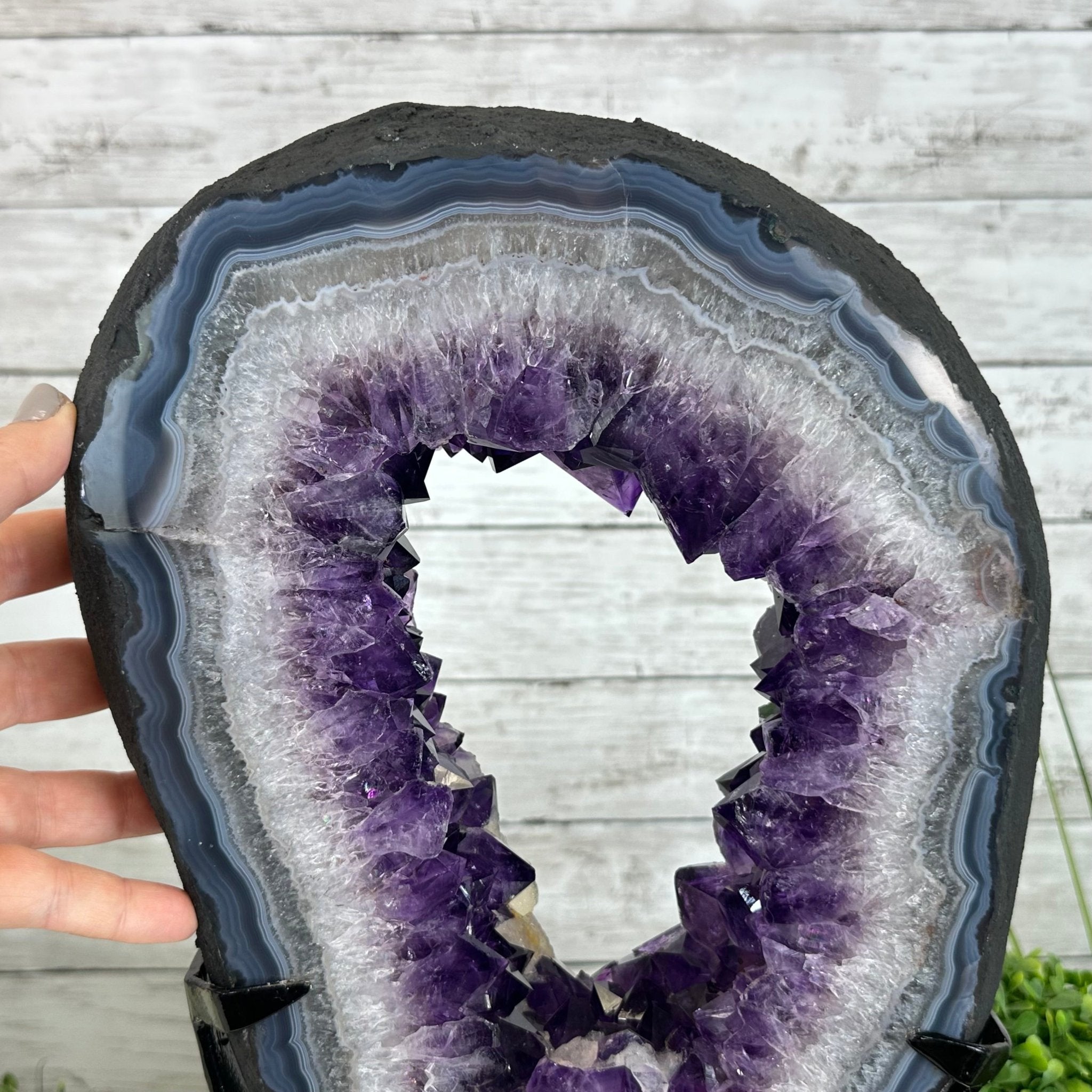 Super Quality Amethyst Portal by Brazil Gems®, 14.2 lbs & 17.6" Tall #5606-0098 - Brazil GemsBrazil GemsSuper Quality Amethyst Portal by Brazil Gems®, 14.2 lbs & 17.6" Tall #5606-0098Portals on Fixed Bases5606-0098