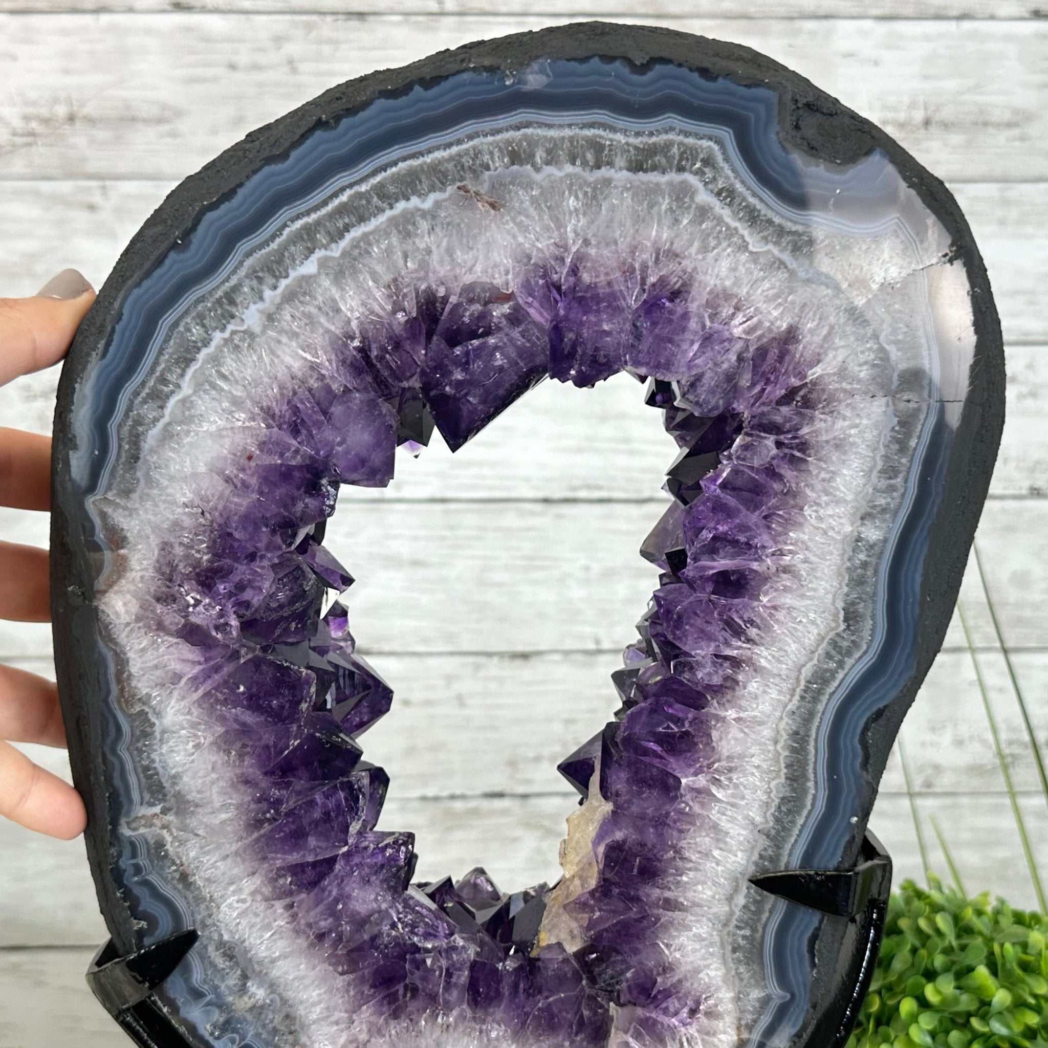 Super Quality Amethyst Portal by Brazil Gems®, 14.2 lbs & 17.6" Tall #5606-0098 - Brazil GemsBrazil GemsSuper Quality Amethyst Portal by Brazil Gems®, 14.2 lbs & 17.6" Tall #5606-0098Portals on Fixed Bases5606-0098
