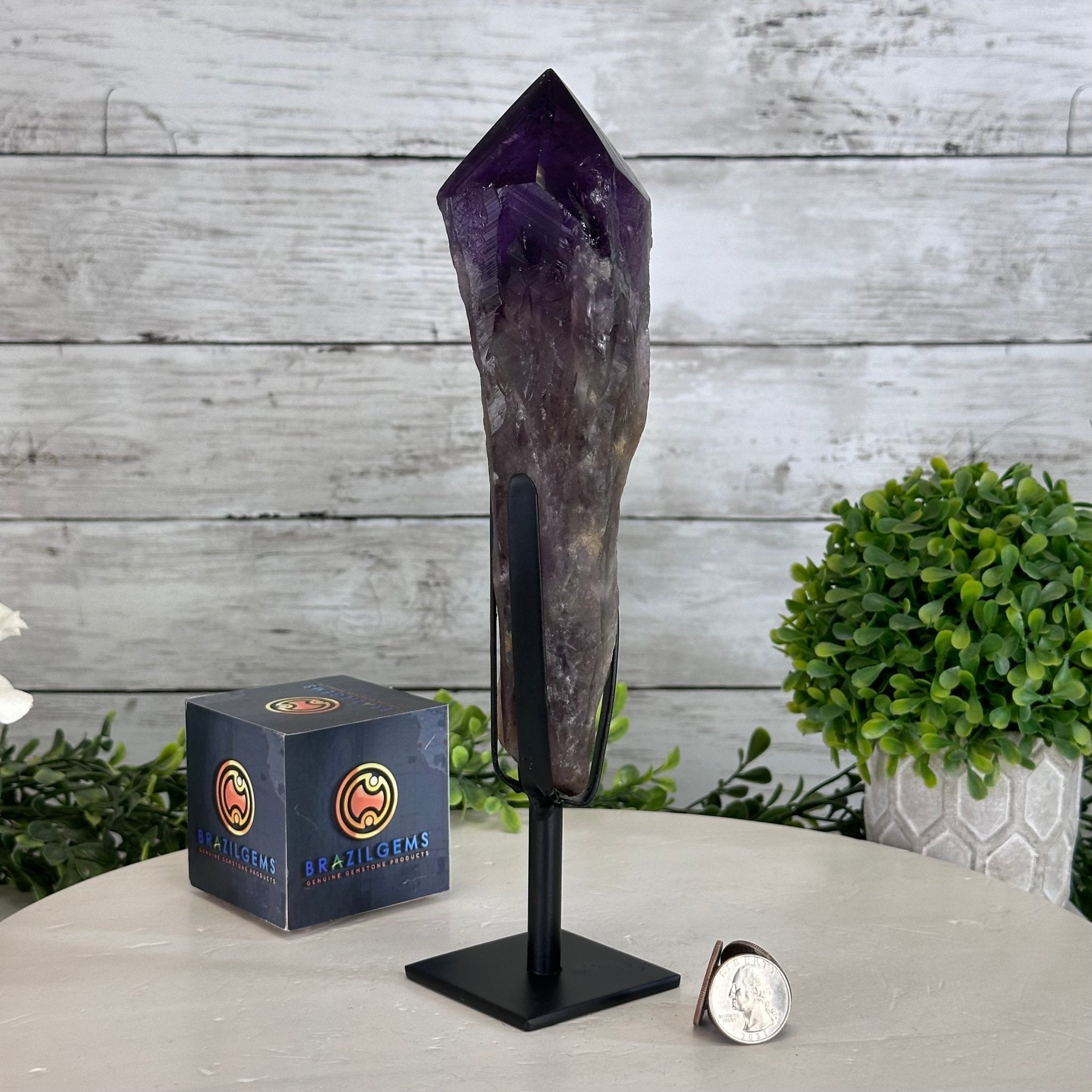 Super Quality Amethyst Wand on a Metal Stand, 1.9 lbs & 10.4" Tall #3123AM-007 - Brazil GemsBrazil GemsSuper Quality Amethyst Wand on a Metal Stand, 1.9 lbs & 10.4" Tall #3123AM-007Clusters on Fixed Bases3123AM-007