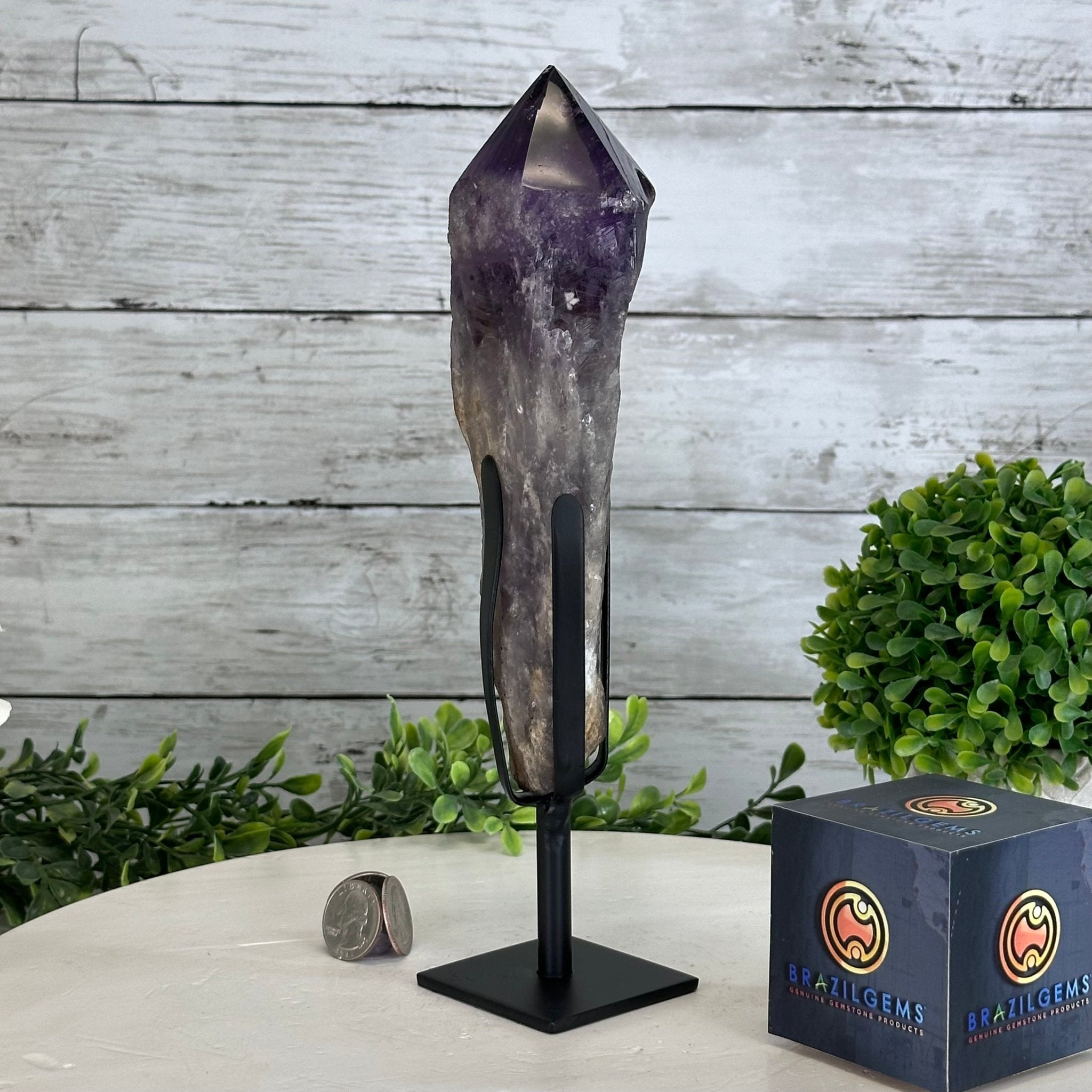 Super Quality Amethyst Wand on a Metal Stand, 1.9 lbs & 10.4" Tall #3123AM-007 - Brazil GemsBrazil GemsSuper Quality Amethyst Wand on a Metal Stand, 1.9 lbs & 10.4" Tall #3123AM-007Clusters on Fixed Bases3123AM-007