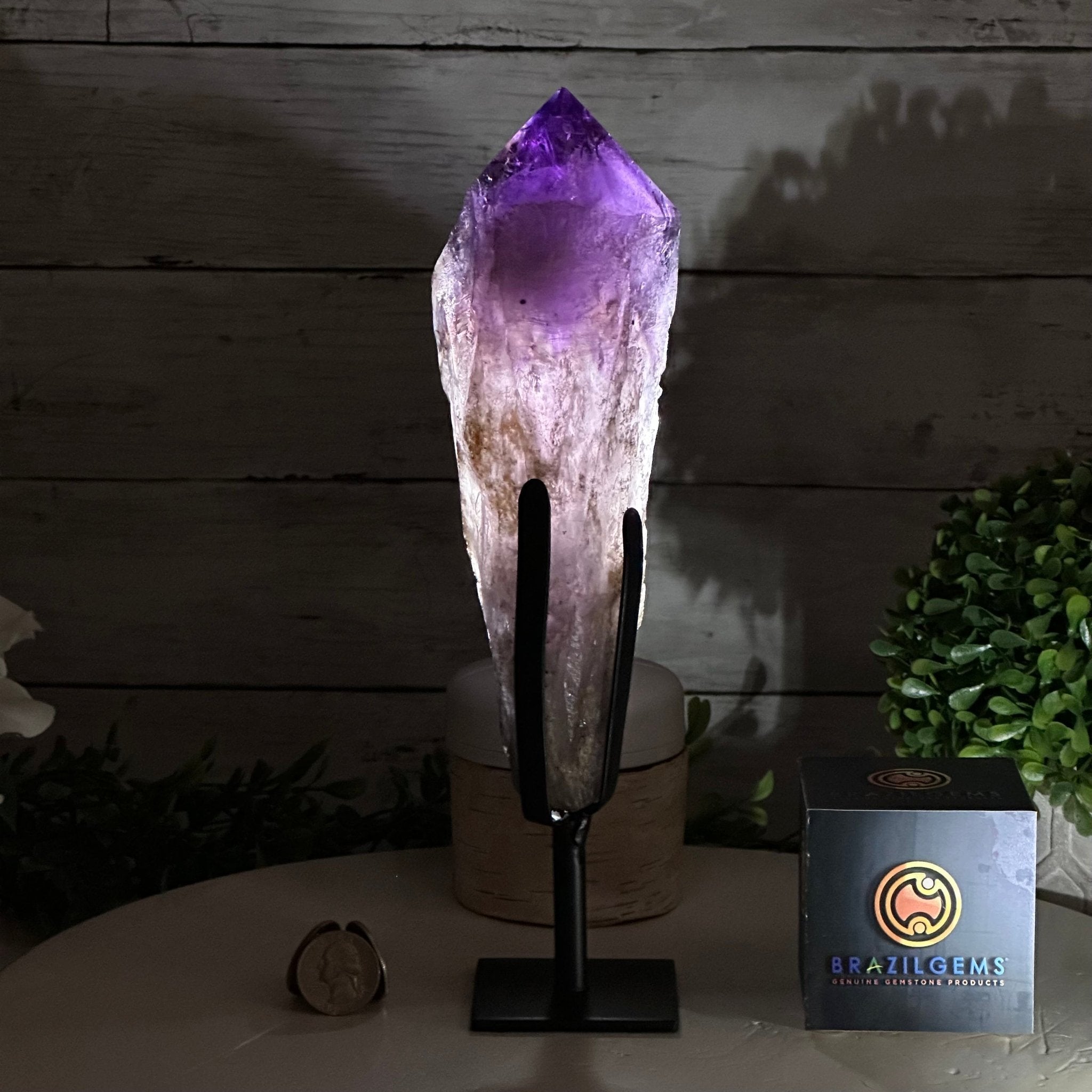 Super Quality Amethyst Wand on a Metal Stand, 1.9 lbs & 10.4" Tall #3123AM-007 - Brazil GemsBrazil GemsSuper Quality Amethyst Wand on a Metal Stand, 1.9 lbs & 10.4" Tall #3123AM-007Clusters on Fixed Bases3123AM-007