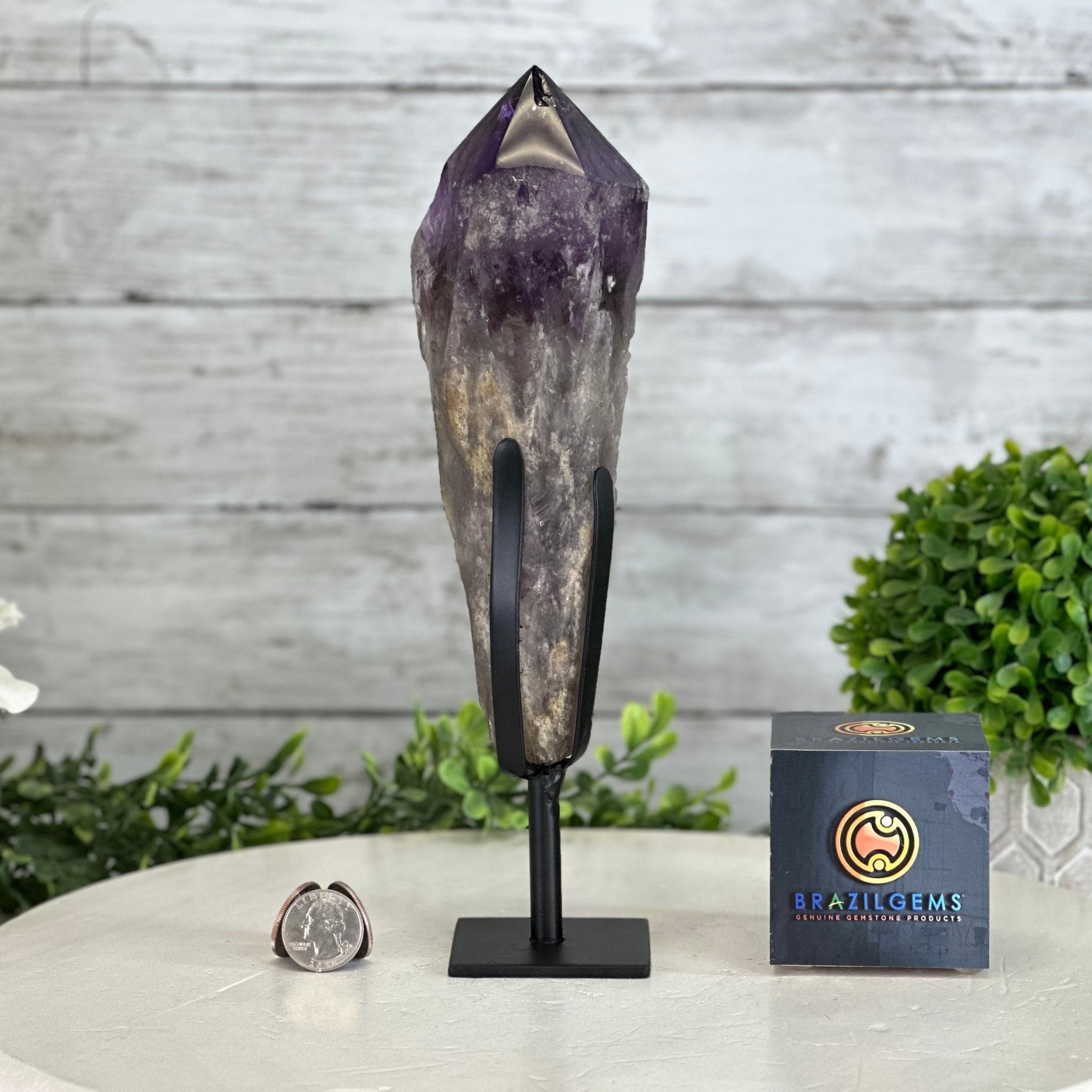 Super Quality Amethyst Wand on a Metal Stand, 1.9 lbs & 10.4" Tall #3123AM-007 - Brazil GemsBrazil GemsSuper Quality Amethyst Wand on a Metal Stand, 1.9 lbs & 10.4" Tall #3123AM-007Clusters on Fixed Bases3123AM-007