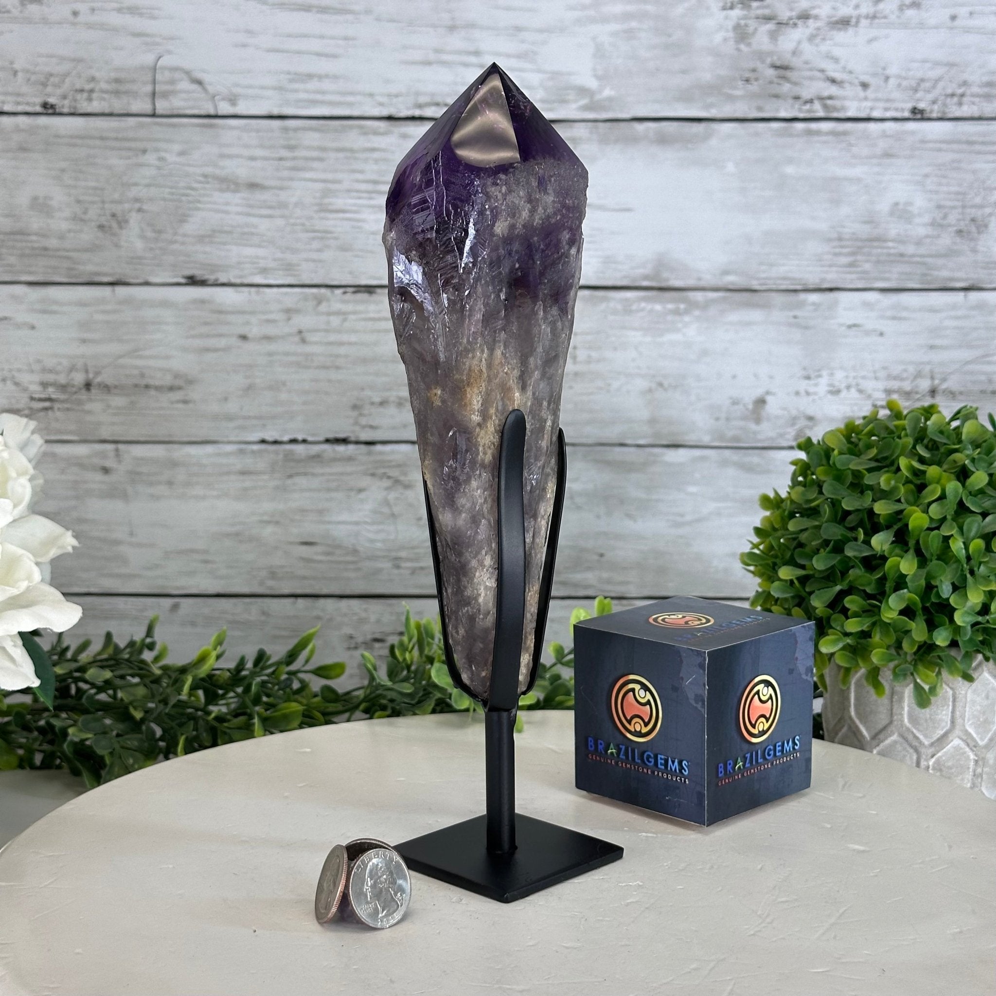 Super Quality Amethyst Wand on a Metal Stand, 1.9 lbs & 10.4" Tall #3123AM-007 - Brazil GemsBrazil GemsSuper Quality Amethyst Wand on a Metal Stand, 1.9 lbs & 10.4" Tall #3123AM-007Clusters on Fixed Bases3123AM-007