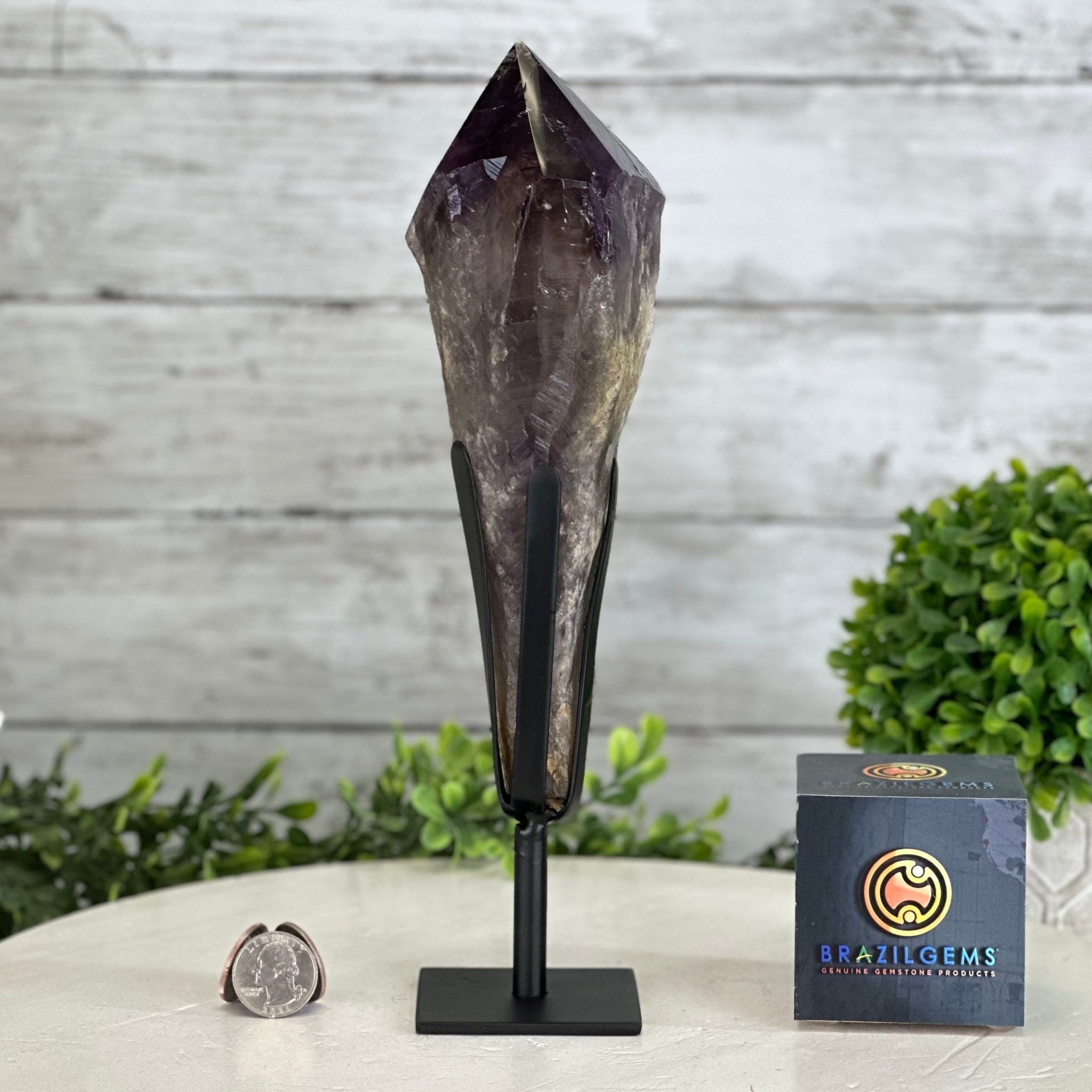 Super Quality Amethyst Wand on a Metal Stand, 1.9 lbs & 10.8" Tall #3123AM-005 - Brazil GemsBrazil GemsSuper Quality Amethyst Wand on a Metal Stand, 1.9 lbs & 10.8" Tall #3123AM-005Clusters on Fixed Bases3123AM-005