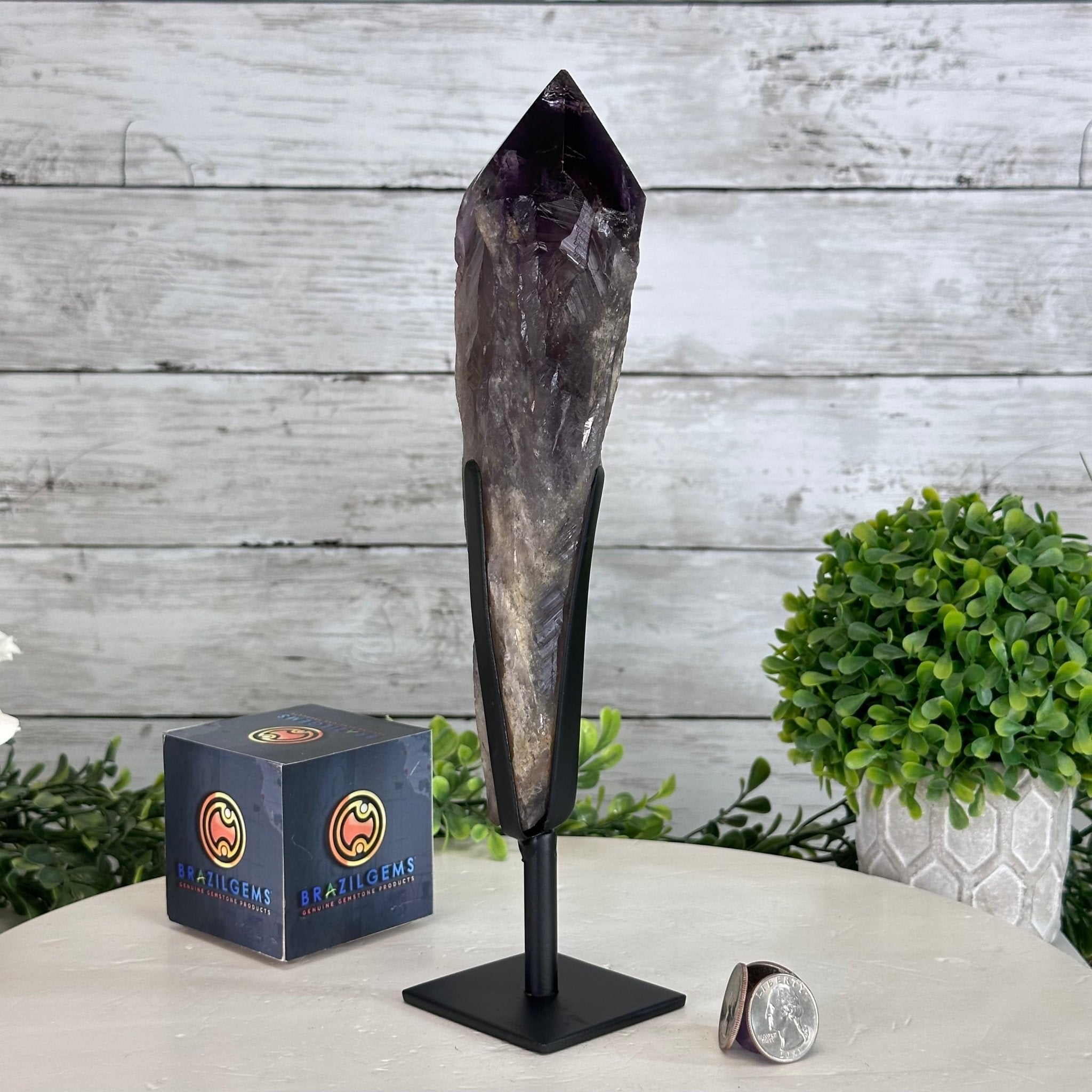 Super Quality Amethyst Wand on a Metal Stand, 1.9 lbs & 10.8" Tall #3123AM-005 - Brazil GemsBrazil GemsSuper Quality Amethyst Wand on a Metal Stand, 1.9 lbs & 10.8" Tall #3123AM-005Clusters on Fixed Bases3123AM-005