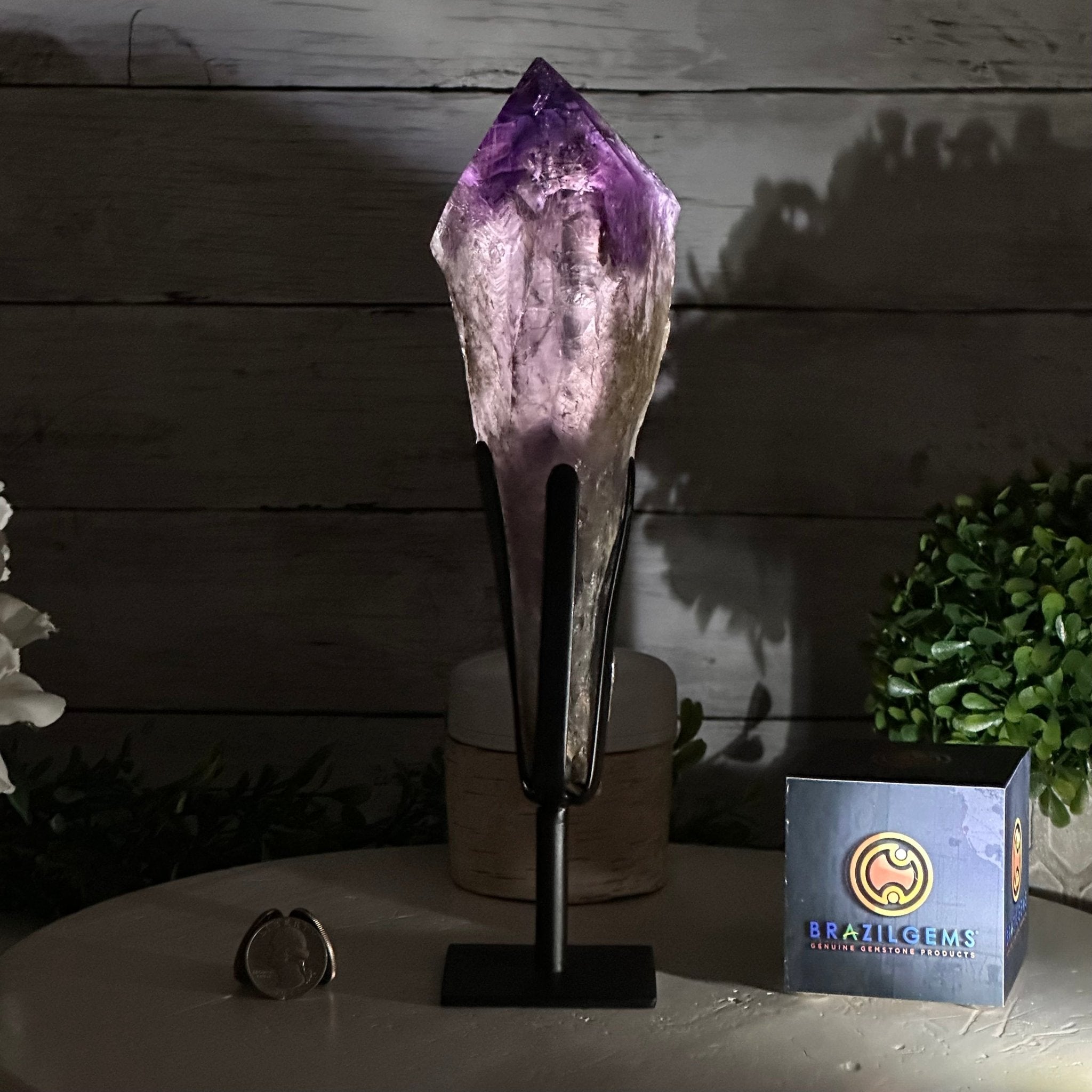 Super Quality Amethyst Wand on a Metal Stand, 1.9 lbs & 10.8" Tall #3123AM-005 - Brazil GemsBrazil GemsSuper Quality Amethyst Wand on a Metal Stand, 1.9 lbs & 10.8" Tall #3123AM-005Clusters on Fixed Bases3123AM-005