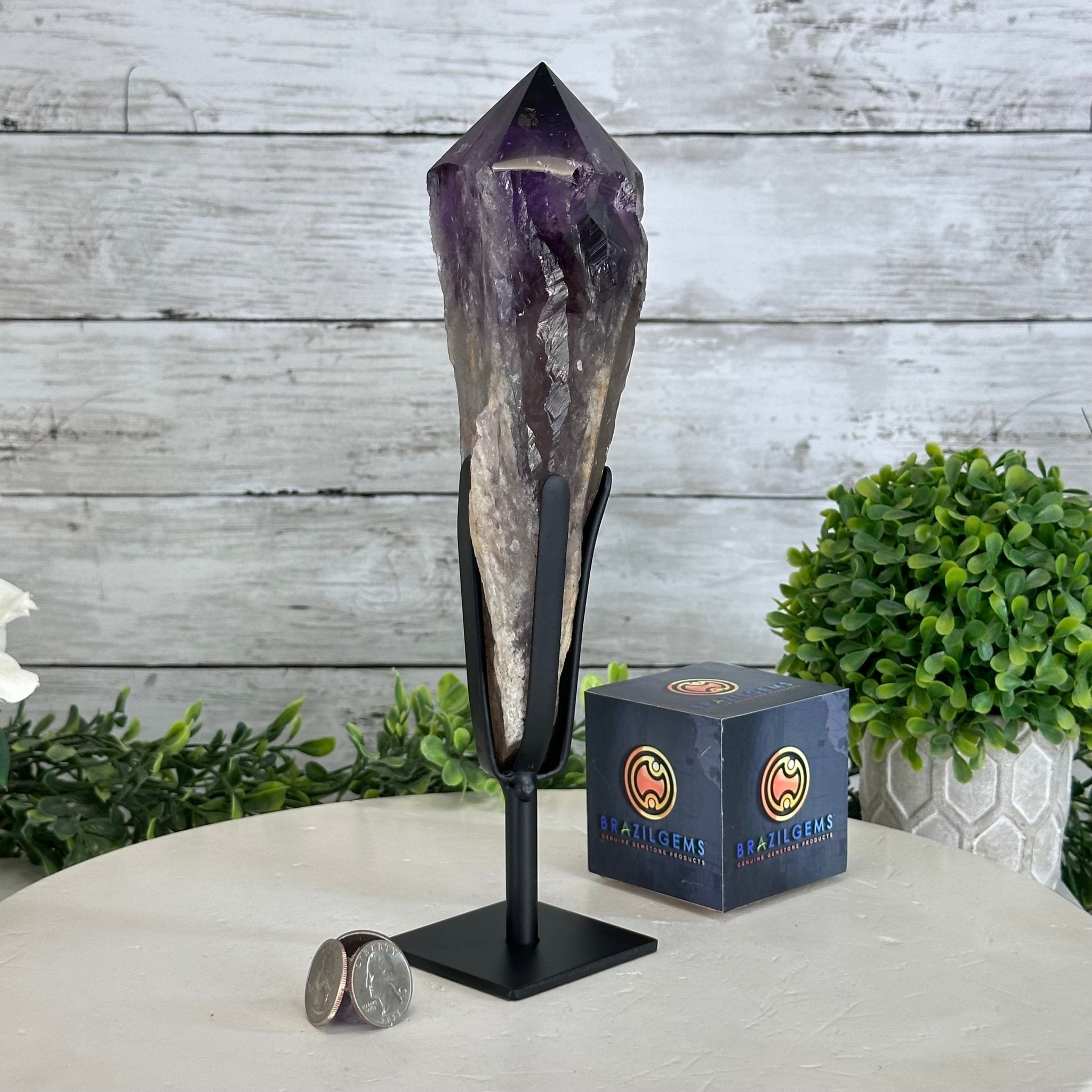 Super Quality Amethyst Wand on a Metal Stand, 2 lbs & 10.7" Tall #3123AM-008 - Brazil GemsBrazil GemsSuper Quality Amethyst Wand on a Metal Stand, 2 lbs & 10.7" Tall #3123AM-008Clusters on Fixed Bases3123AM-008